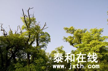 DSC_01802_nEO_IMG.jpg