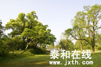 DSC_01952_nEO_IMG.jpg