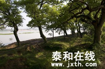 DSC_02102_nEO_IMG.jpg