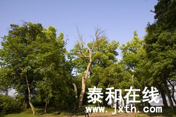 DSC_01882_nEO_IMG.jpg