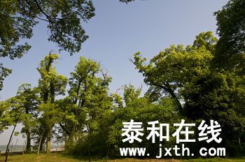 DSC_02132_nEO_IMG.jpg