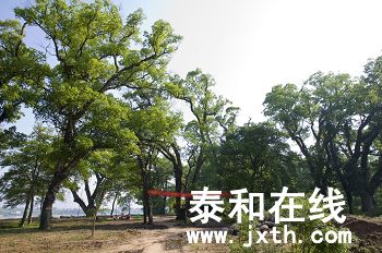DSC_02112_nEO_IMG.jpg
