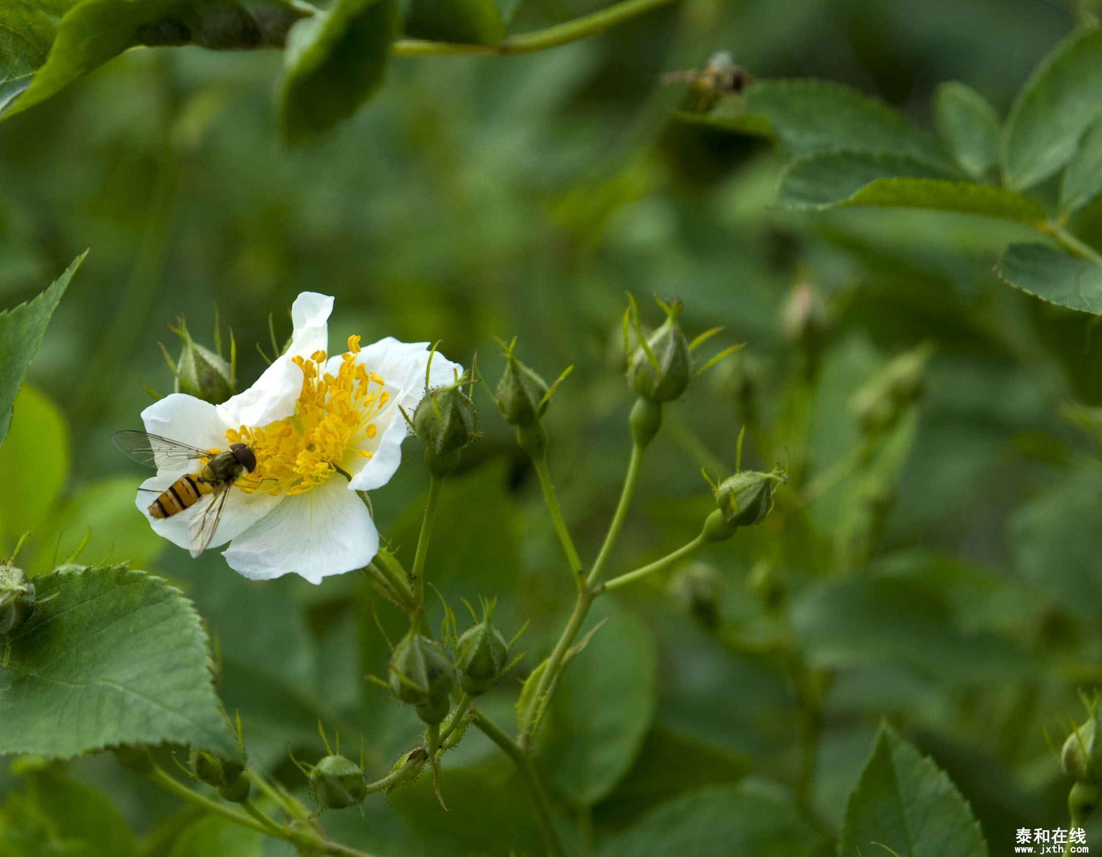 DSC_00712.JPG