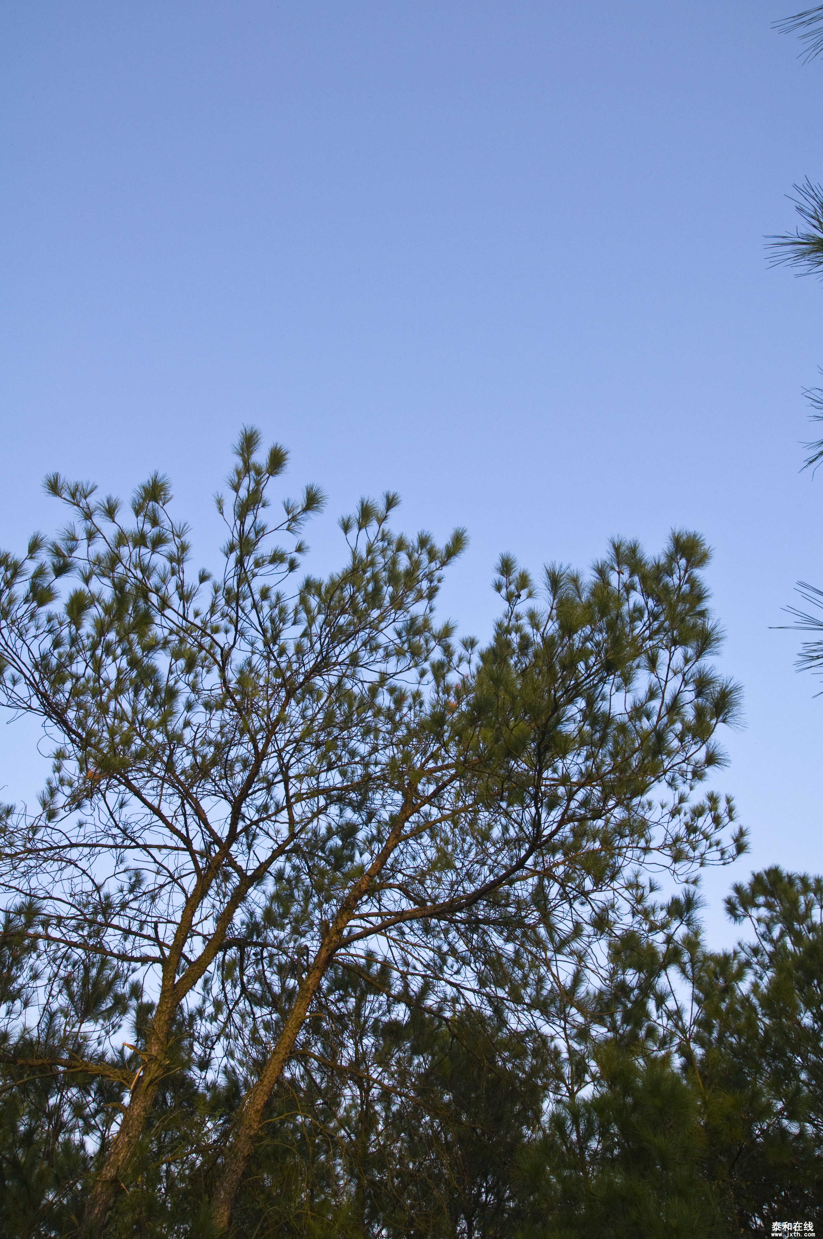 DSC_03952.JPG