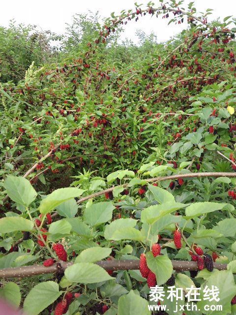 P09-05-12_07.19.jpg