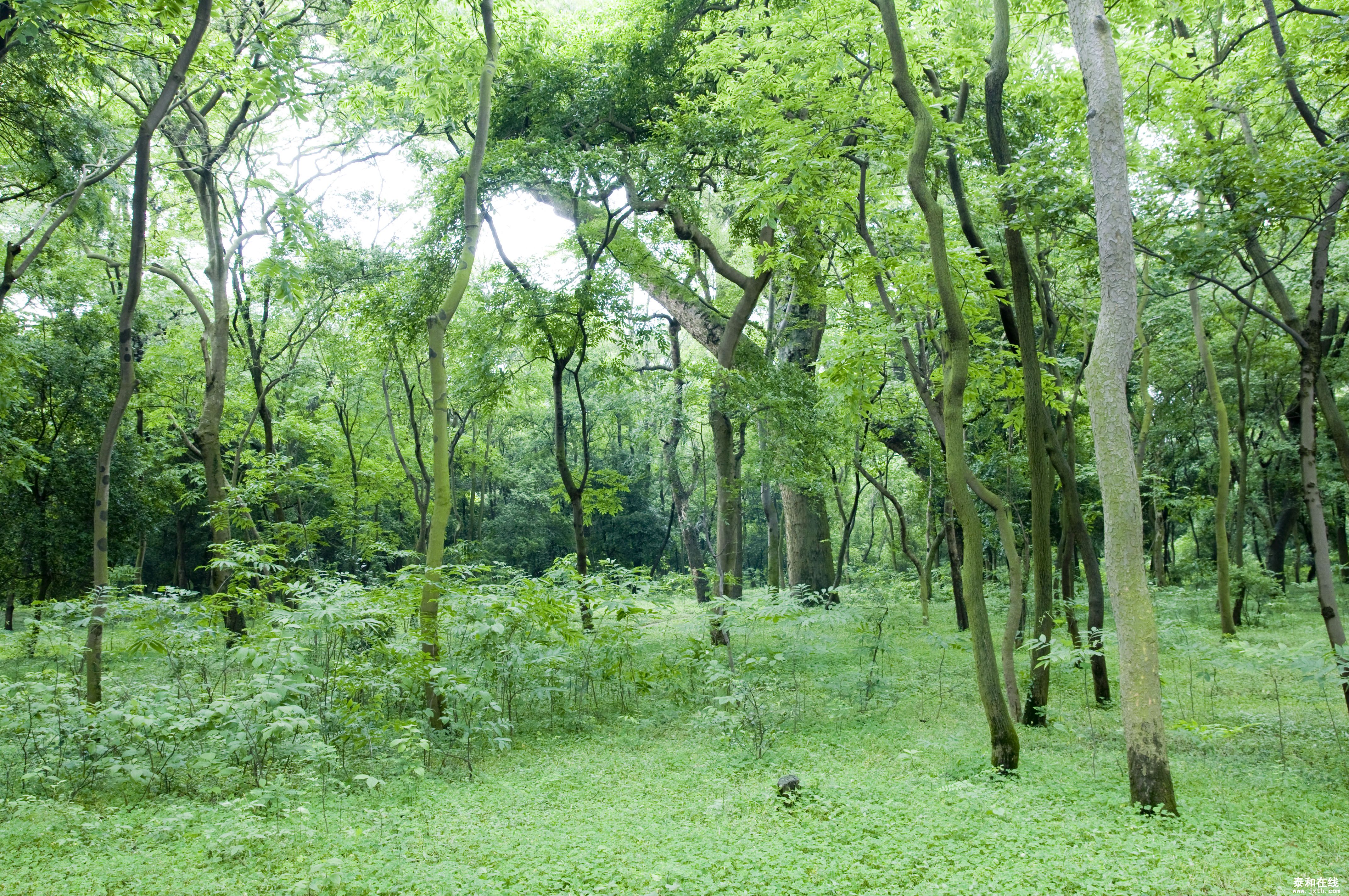 DSC_00852.JPG