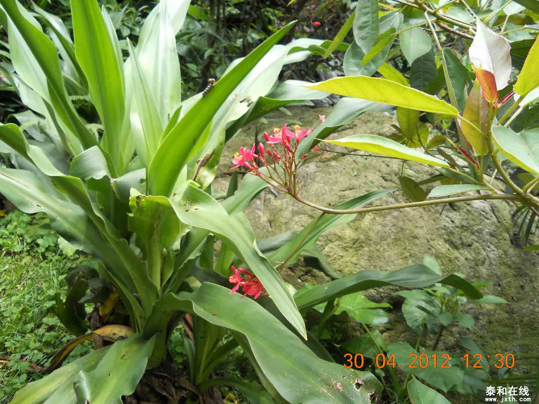 DSCN0074.jpg