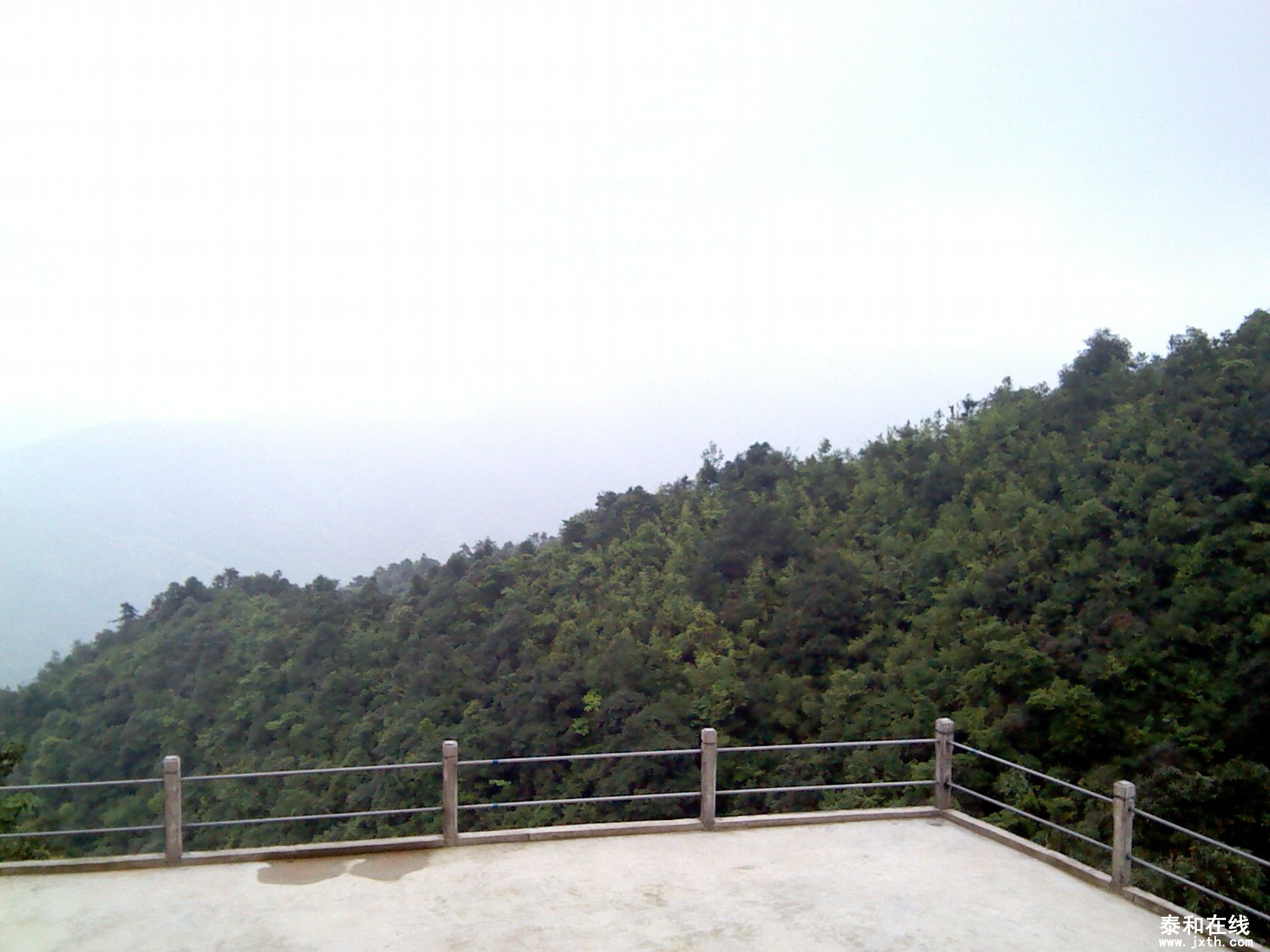 IMG_20120516_115915.jpg