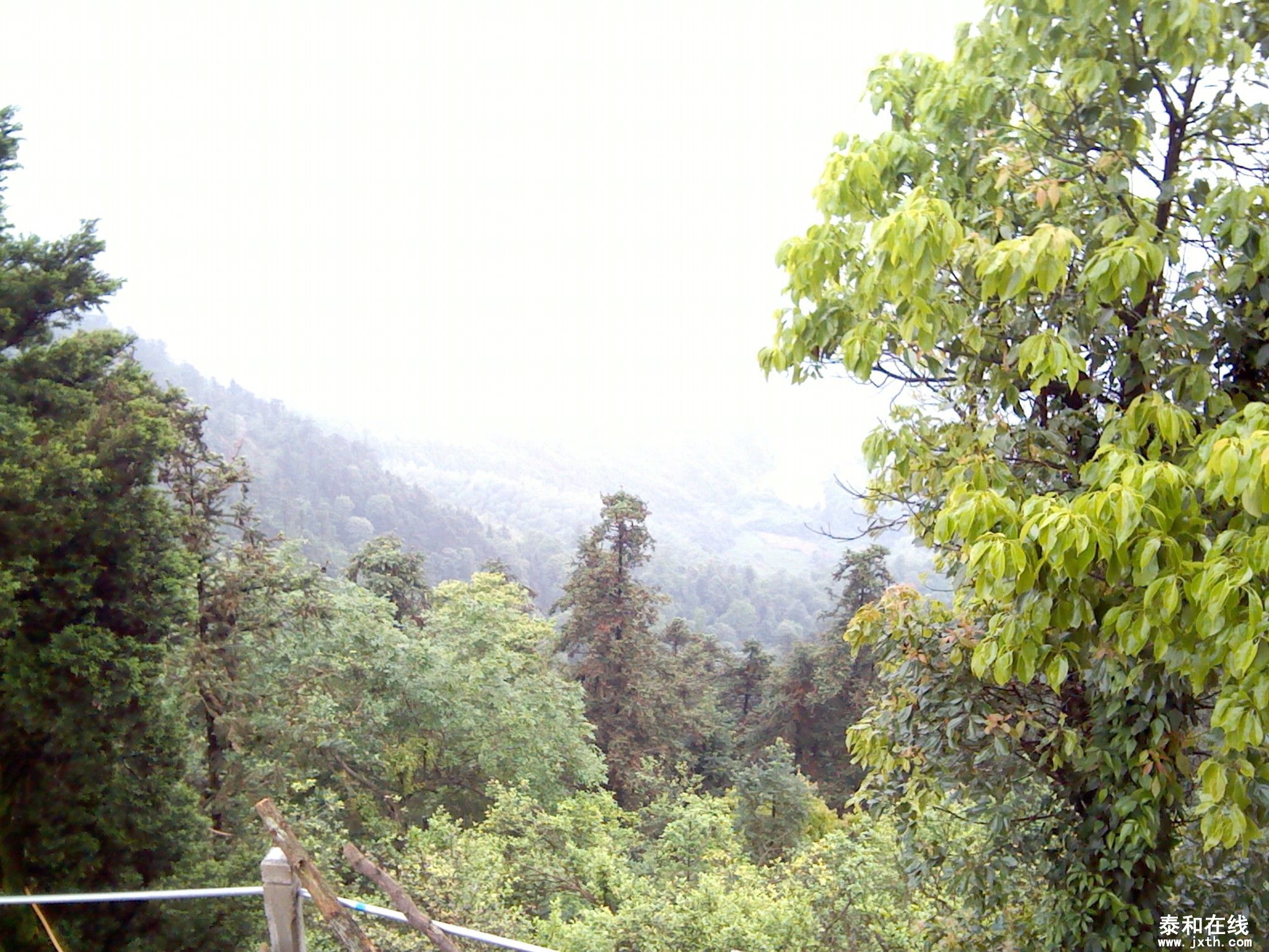 IMG_20120516_115908.jpg
