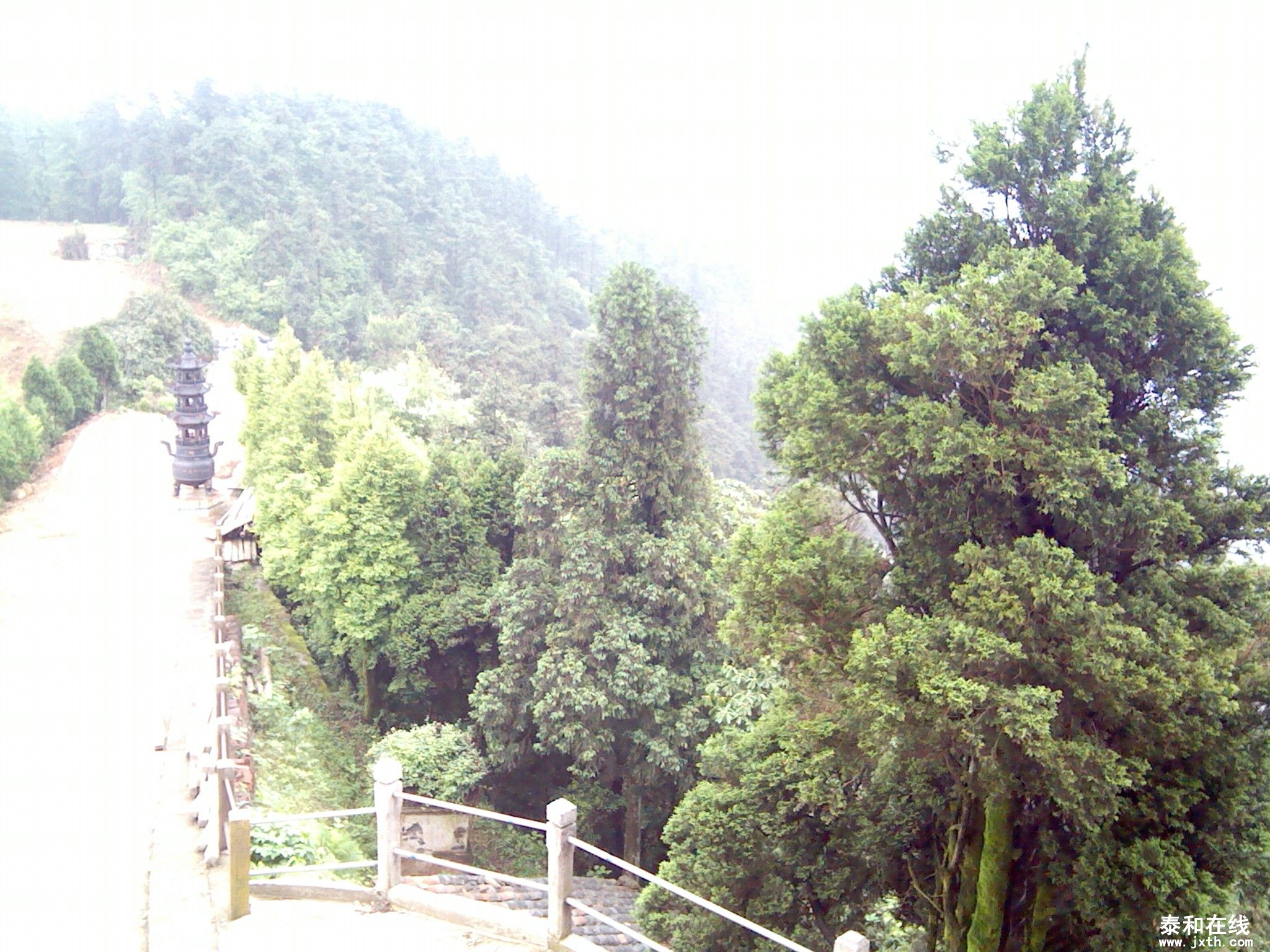 IMG_20120516_115902.jpg