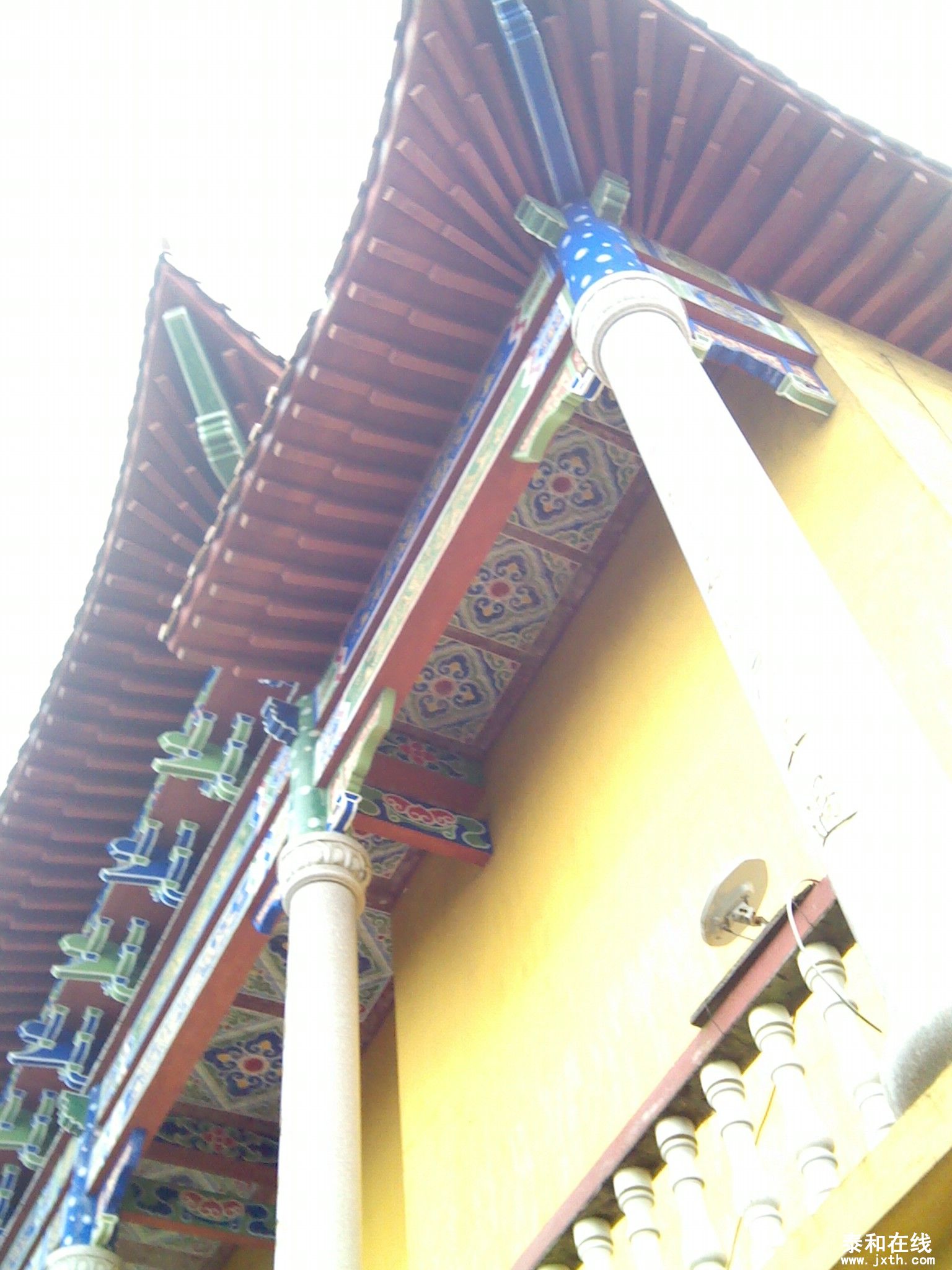 IMG_20120516_115520.jpg