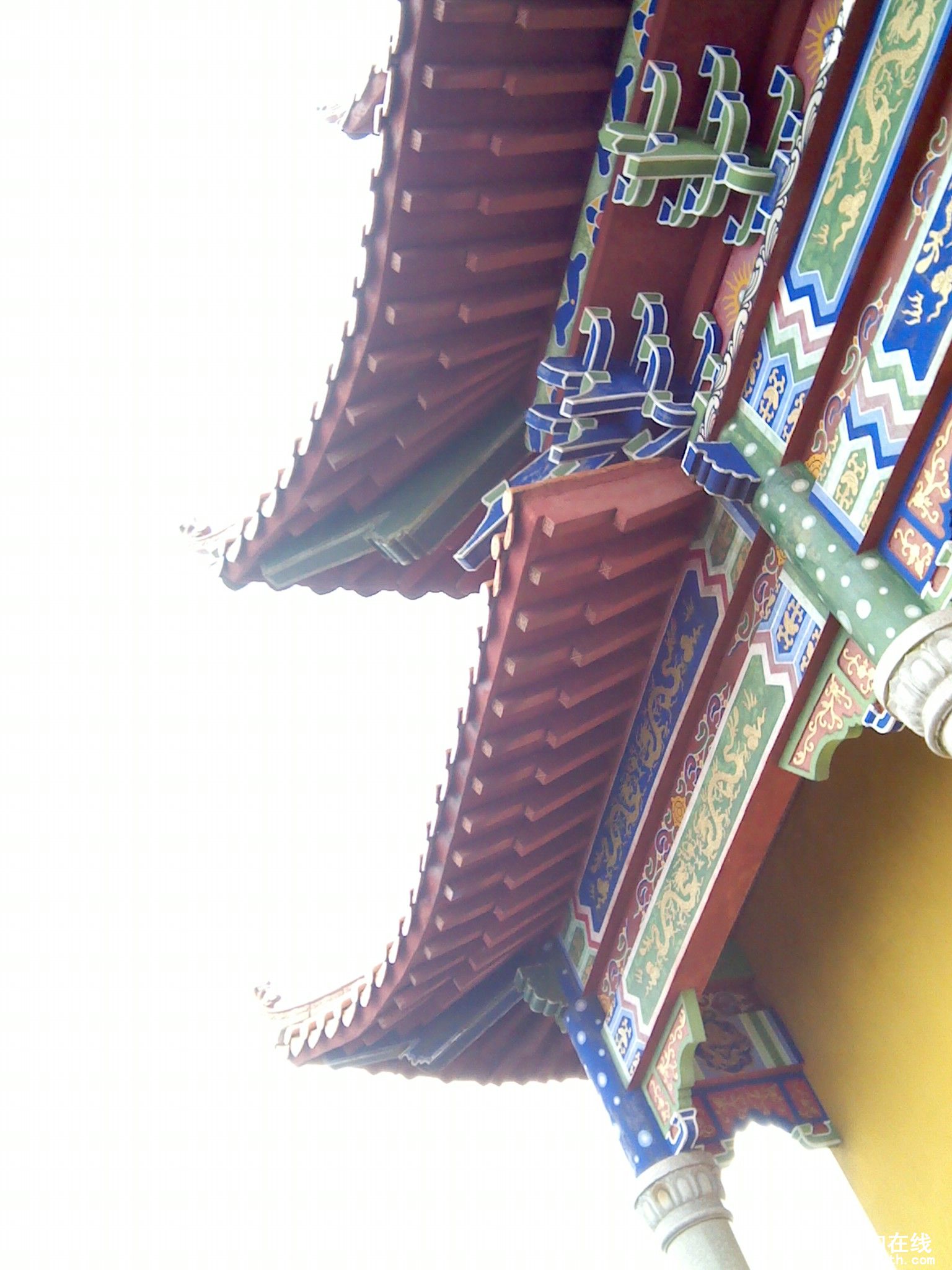 IMG_20120516_115602.jpg