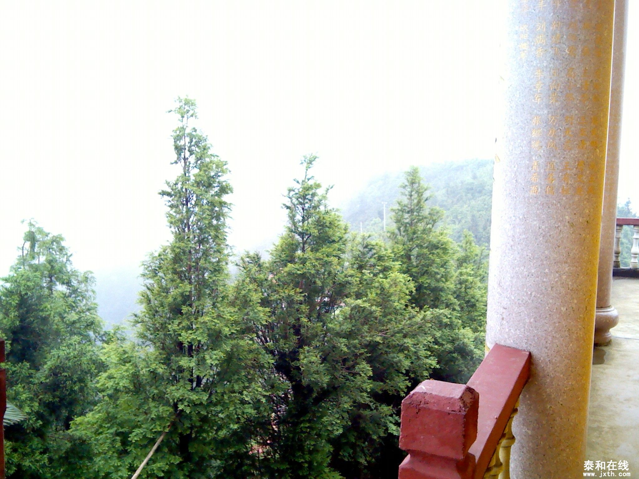 IMG_20120516_115617.jpg