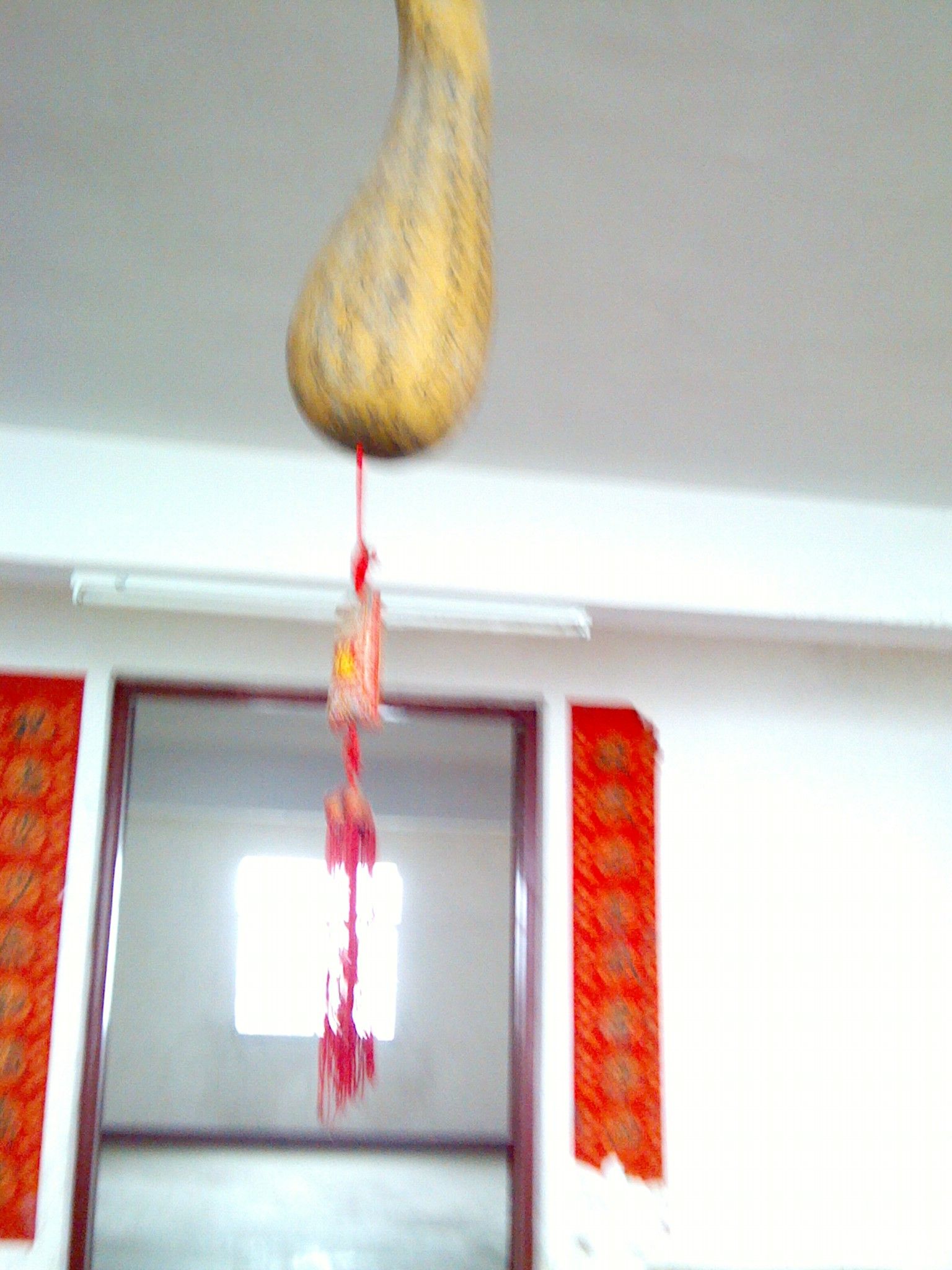 IMG_20120516_122009.jpg