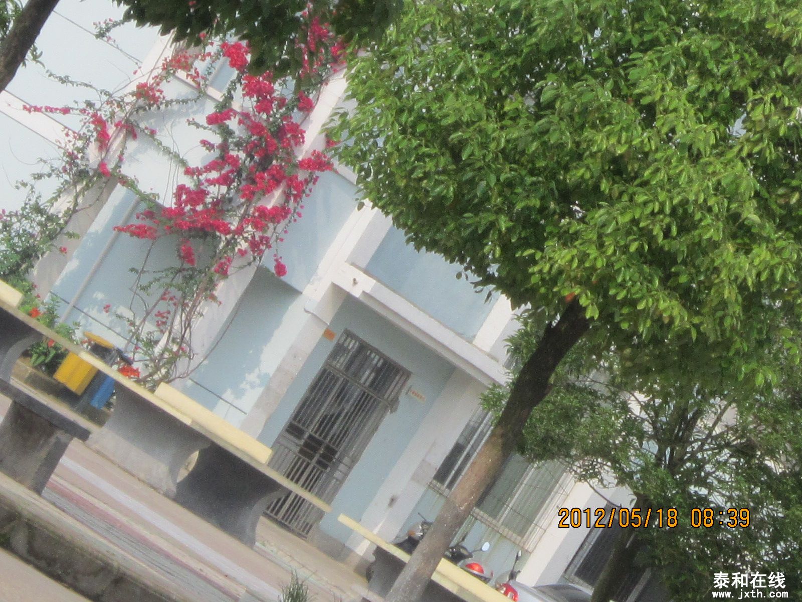 IMG_1313.JPG