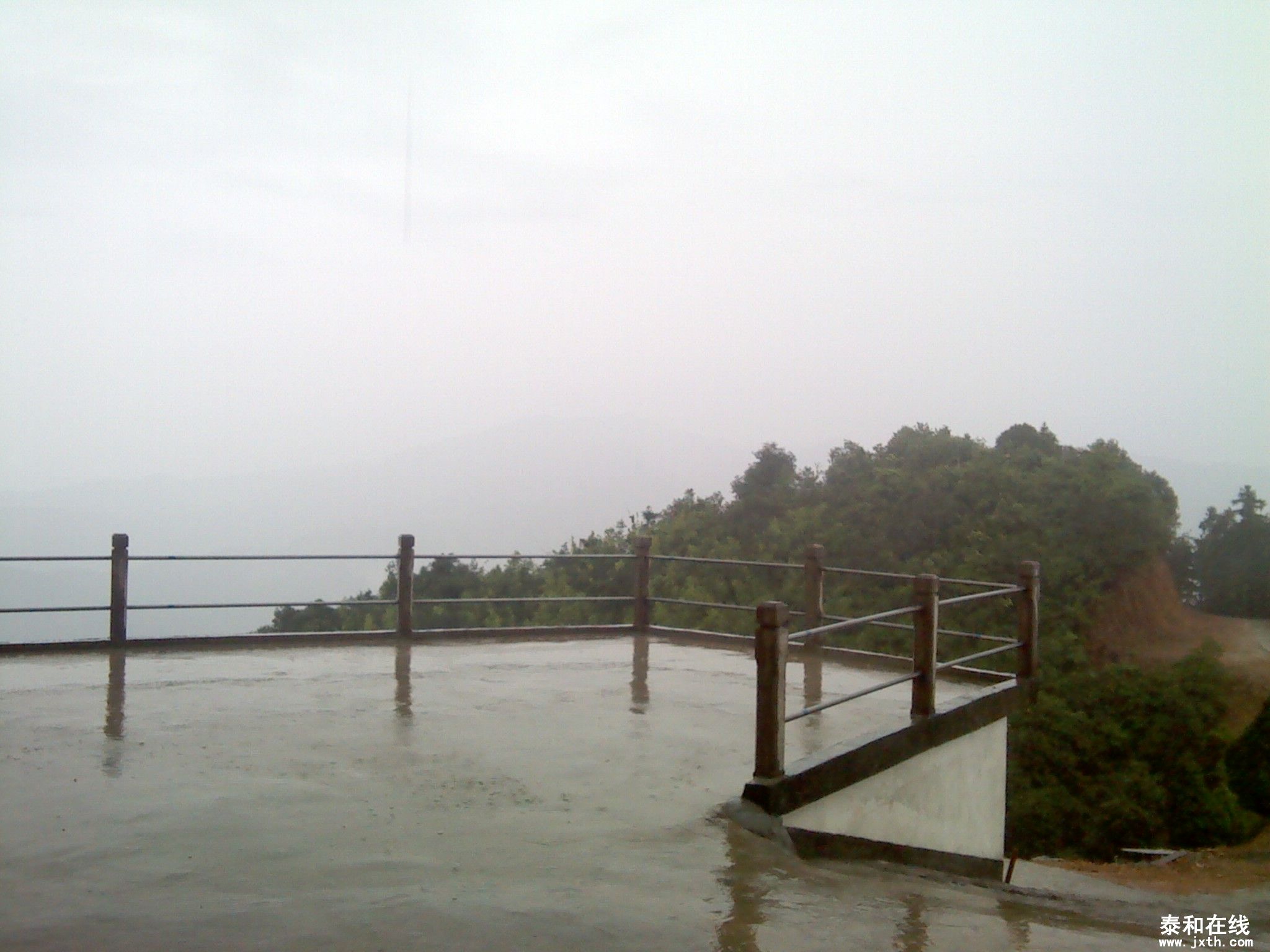 IMG_20120519_154831.jpg