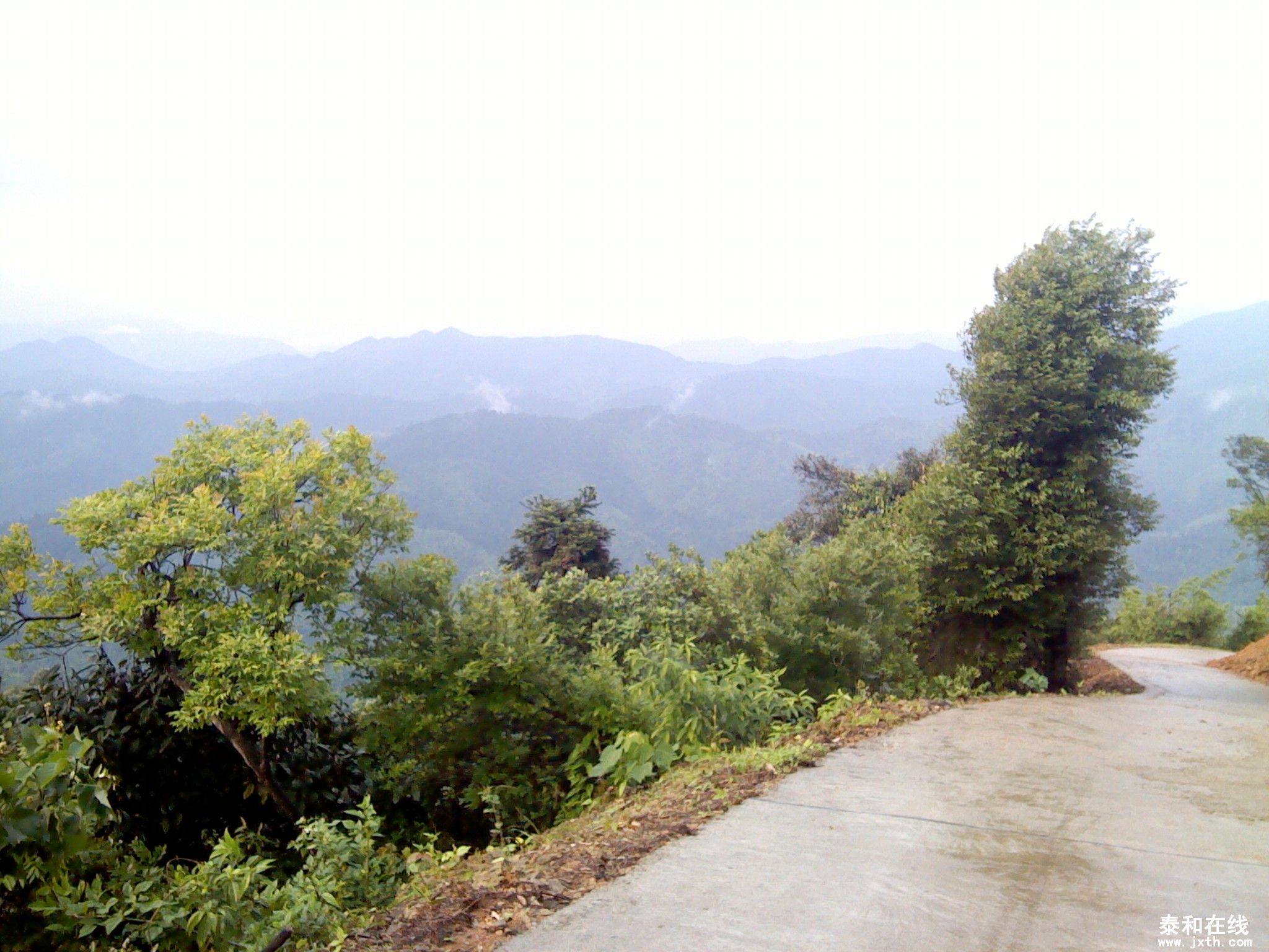 IMG_20120519_162035.jpg