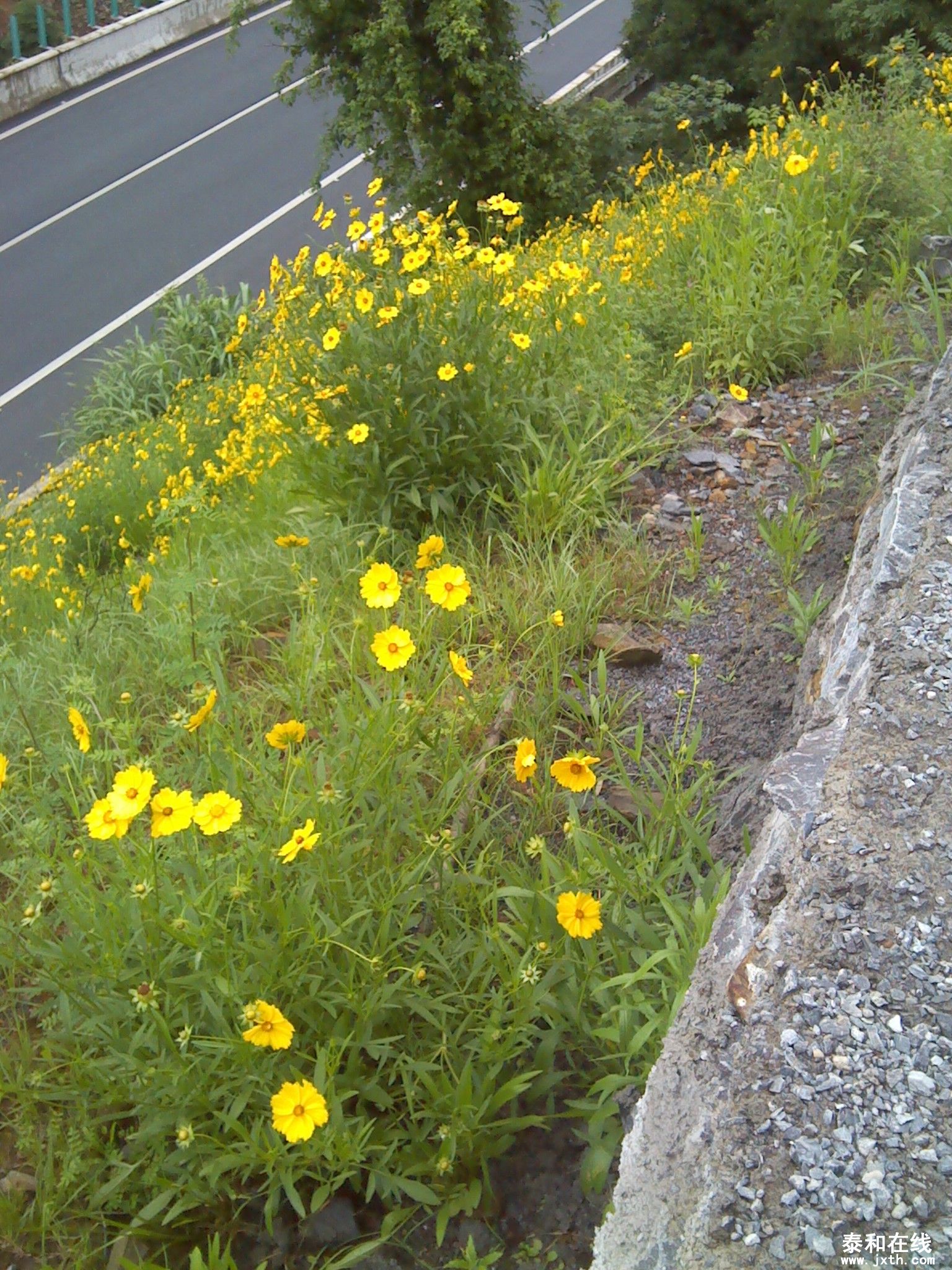 IMG_20120519_164100.jpg