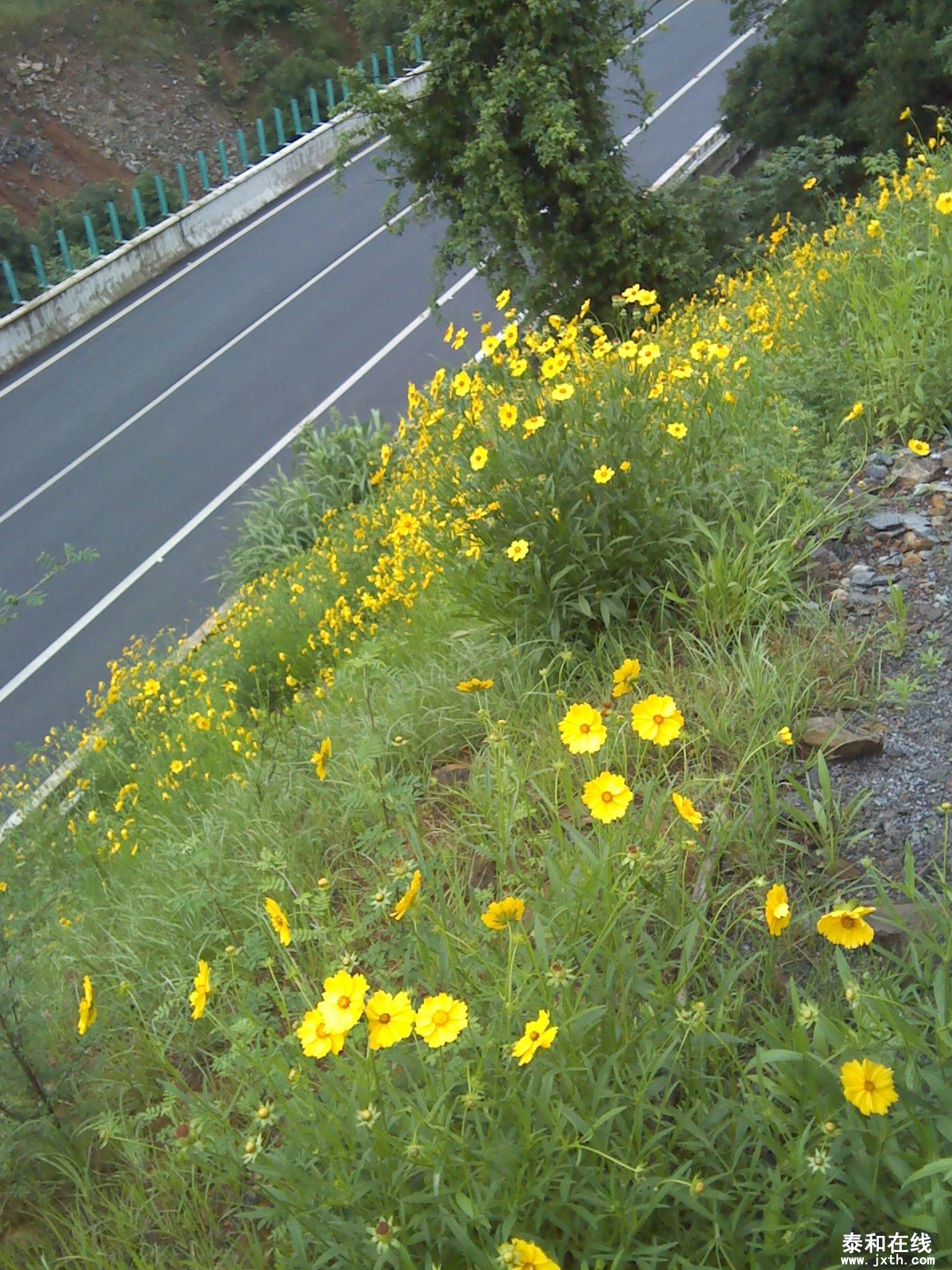 IMG_20120519_164105.jpg