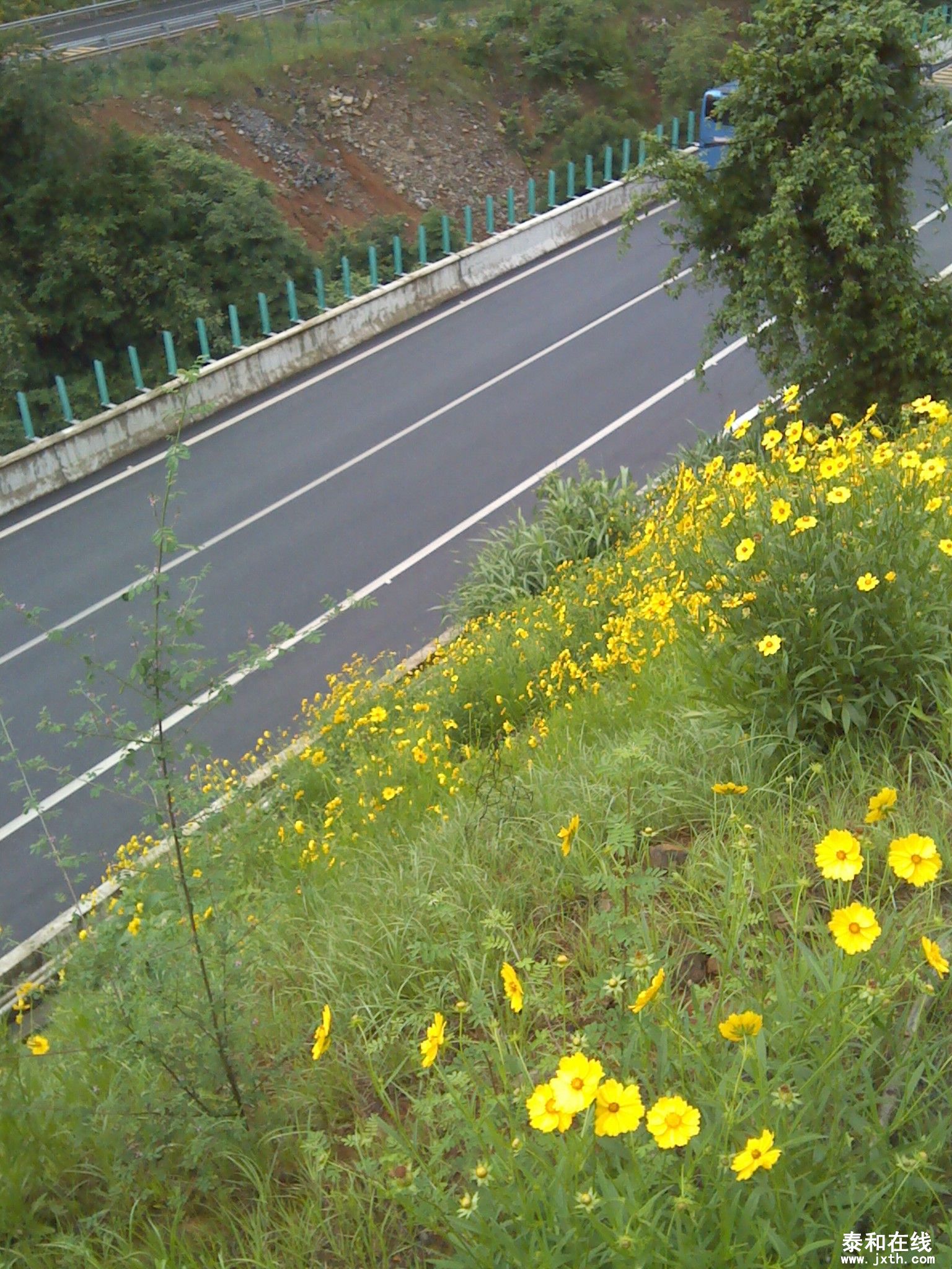 IMG_20120519_164109.jpg
