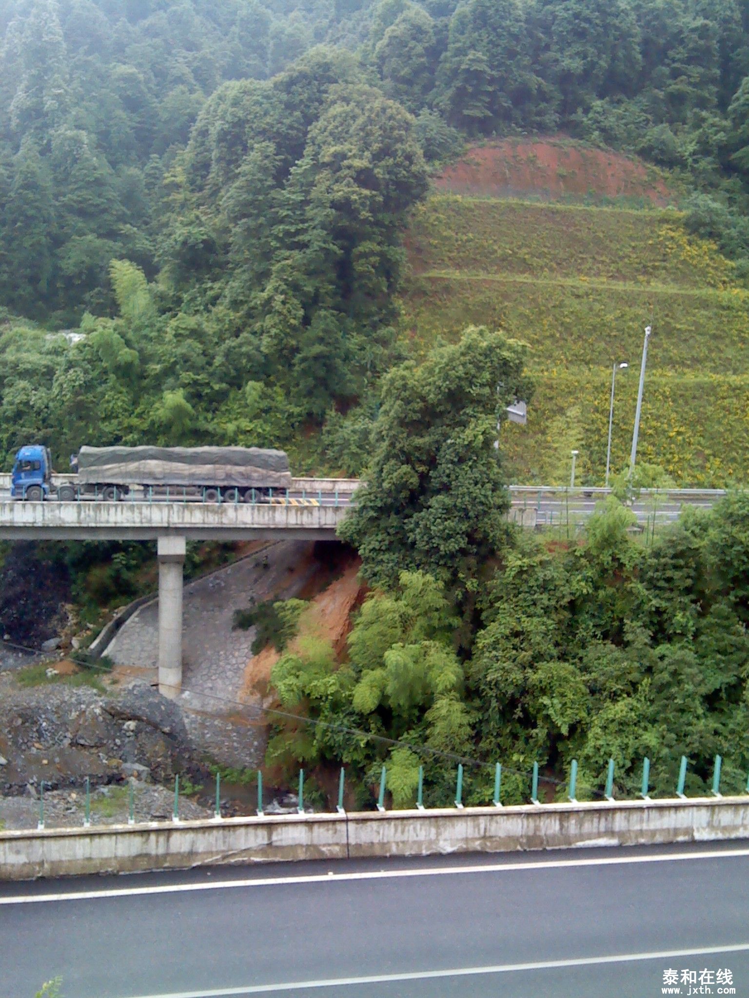IMG_20120519_164138.jpg