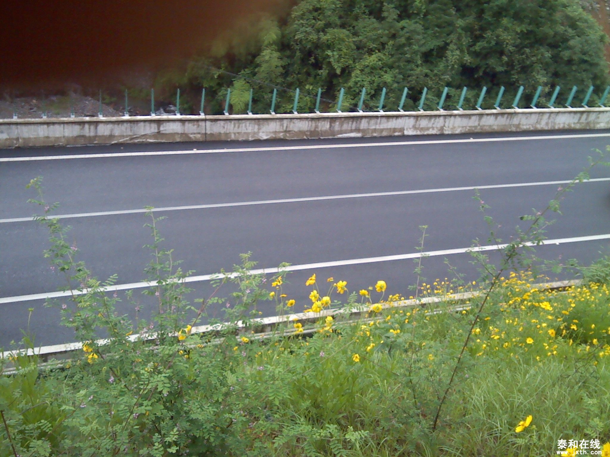 IMG_20120519_164146.jpg
