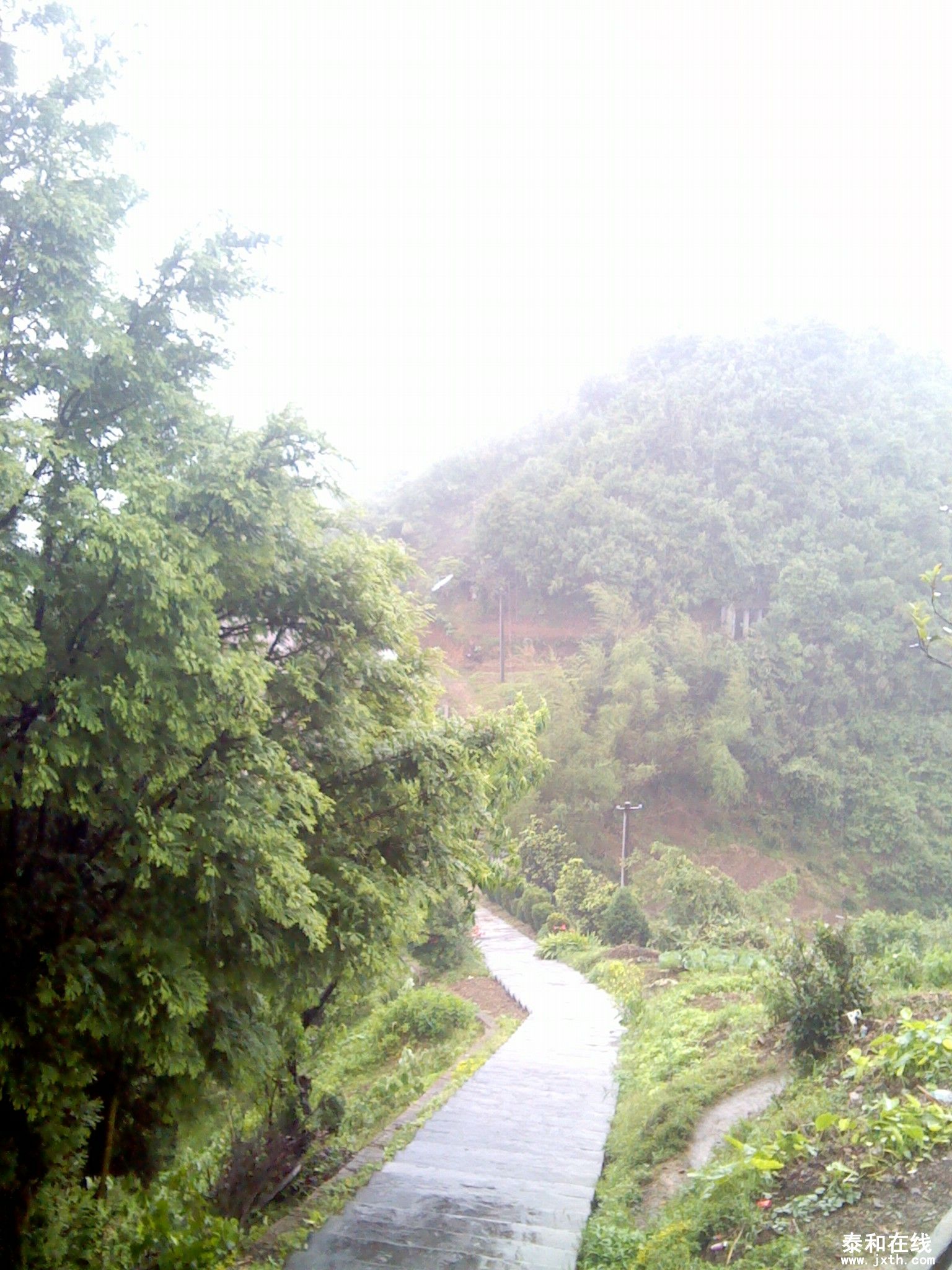 IMG_20120519_154701.jpg