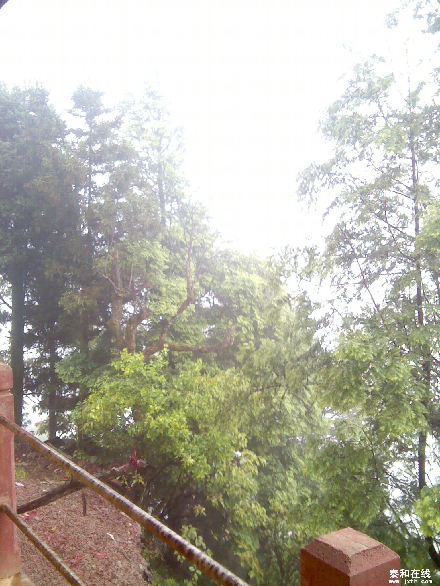IMG_20120519_154729.jpg