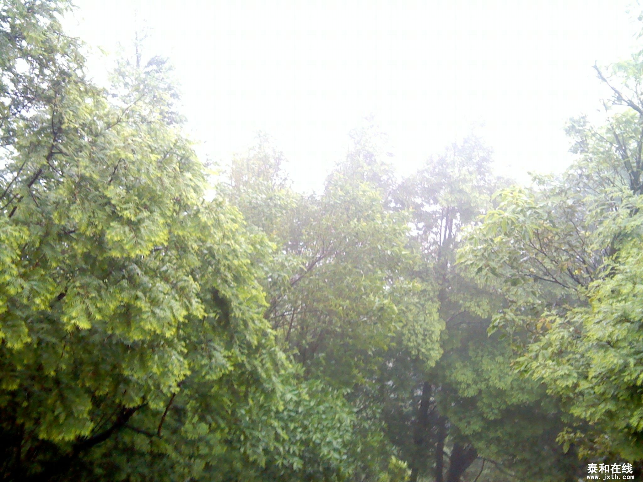 IMG_20120519_154741.jpg