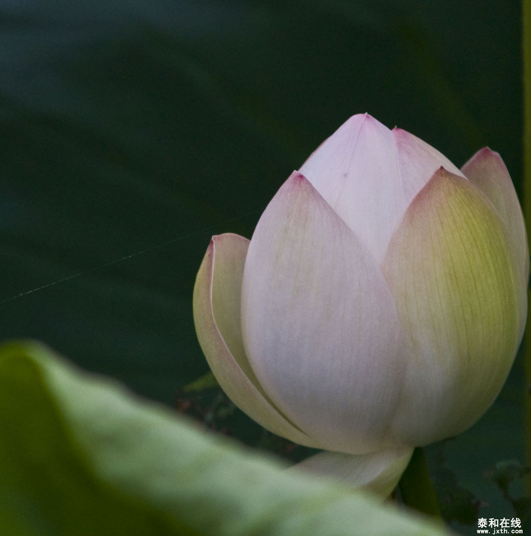 DSC_01932.JPG