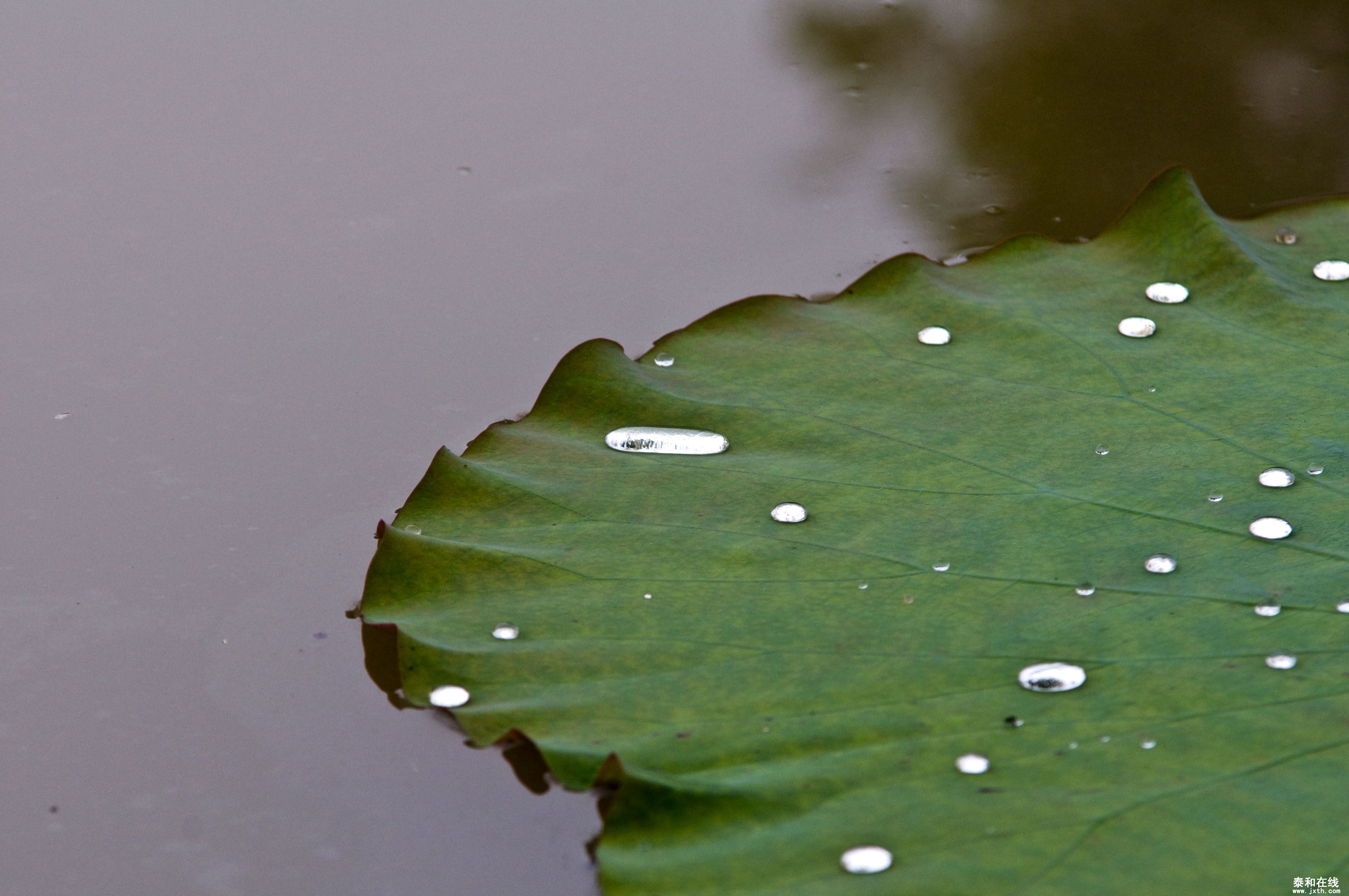 DSC_01662.JPG