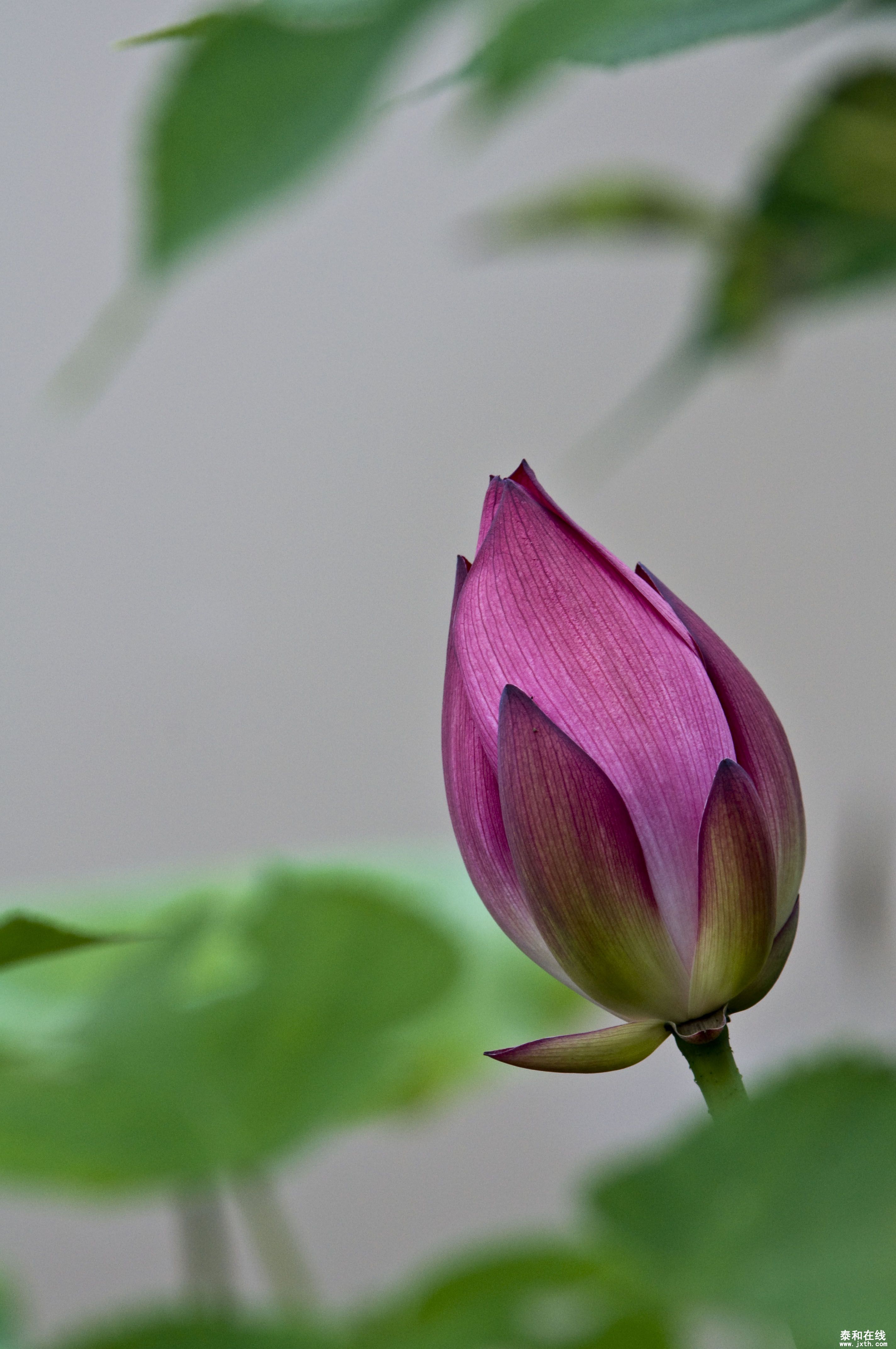 DSC_01712.JPG