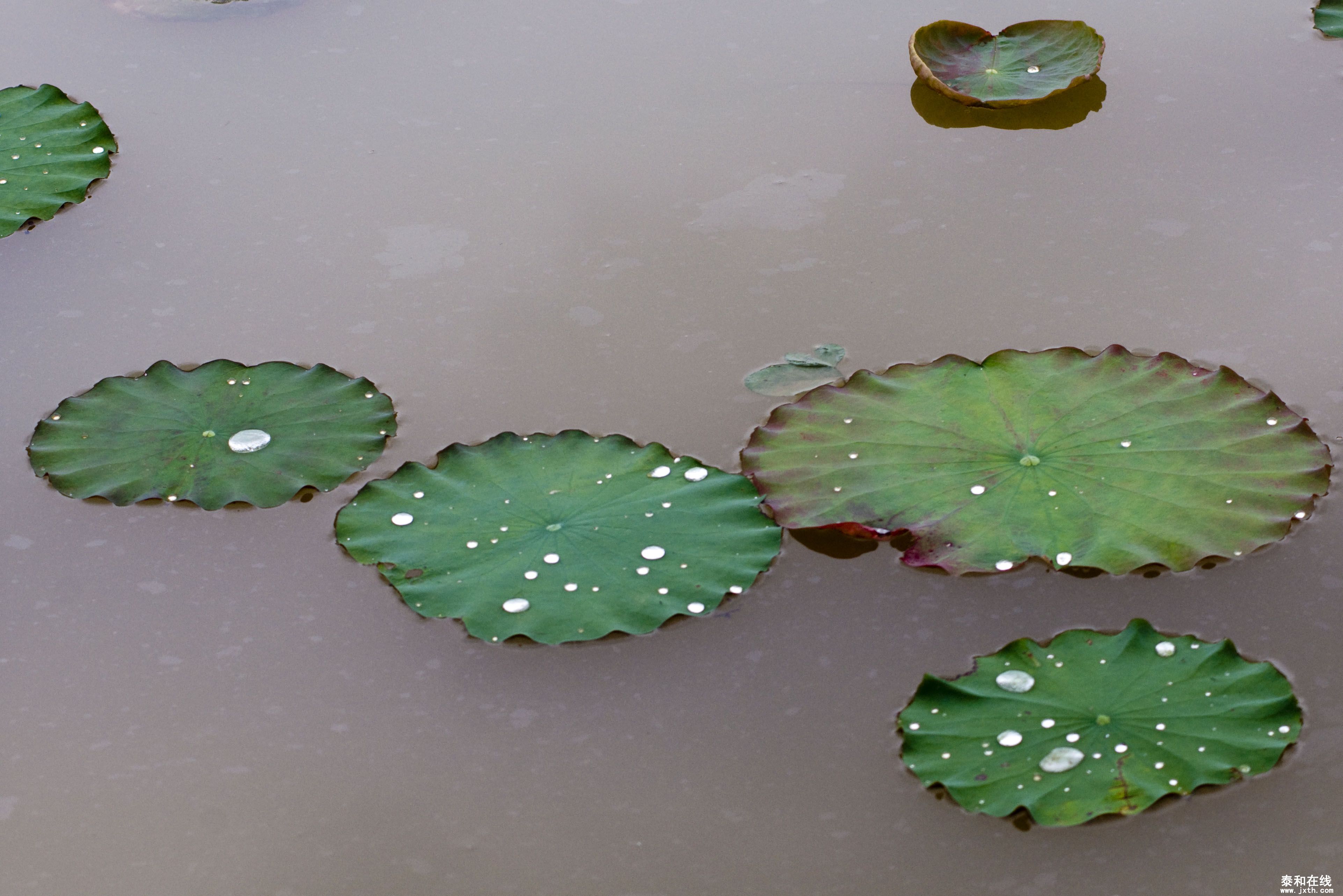 DSC_01752.JPG