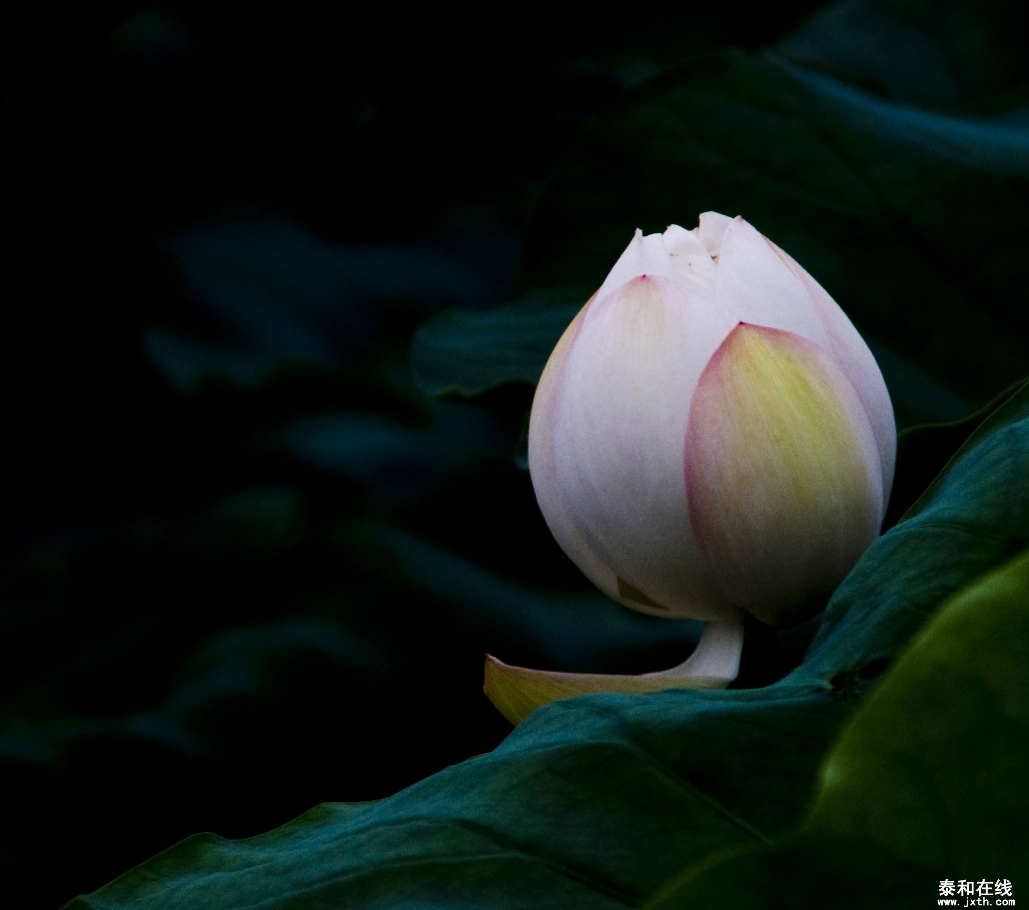 DSC_01792.JPG