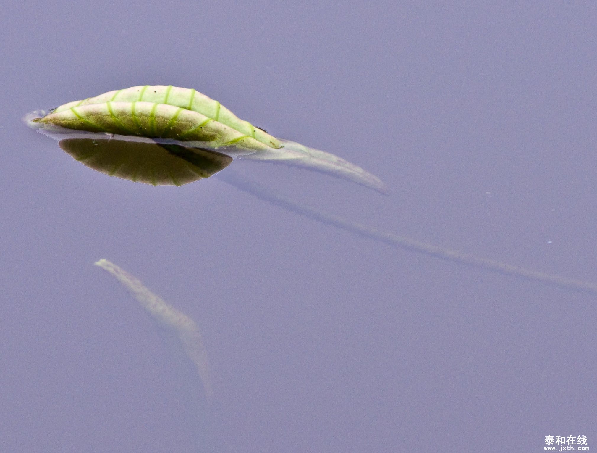 DSC_01852.JPG