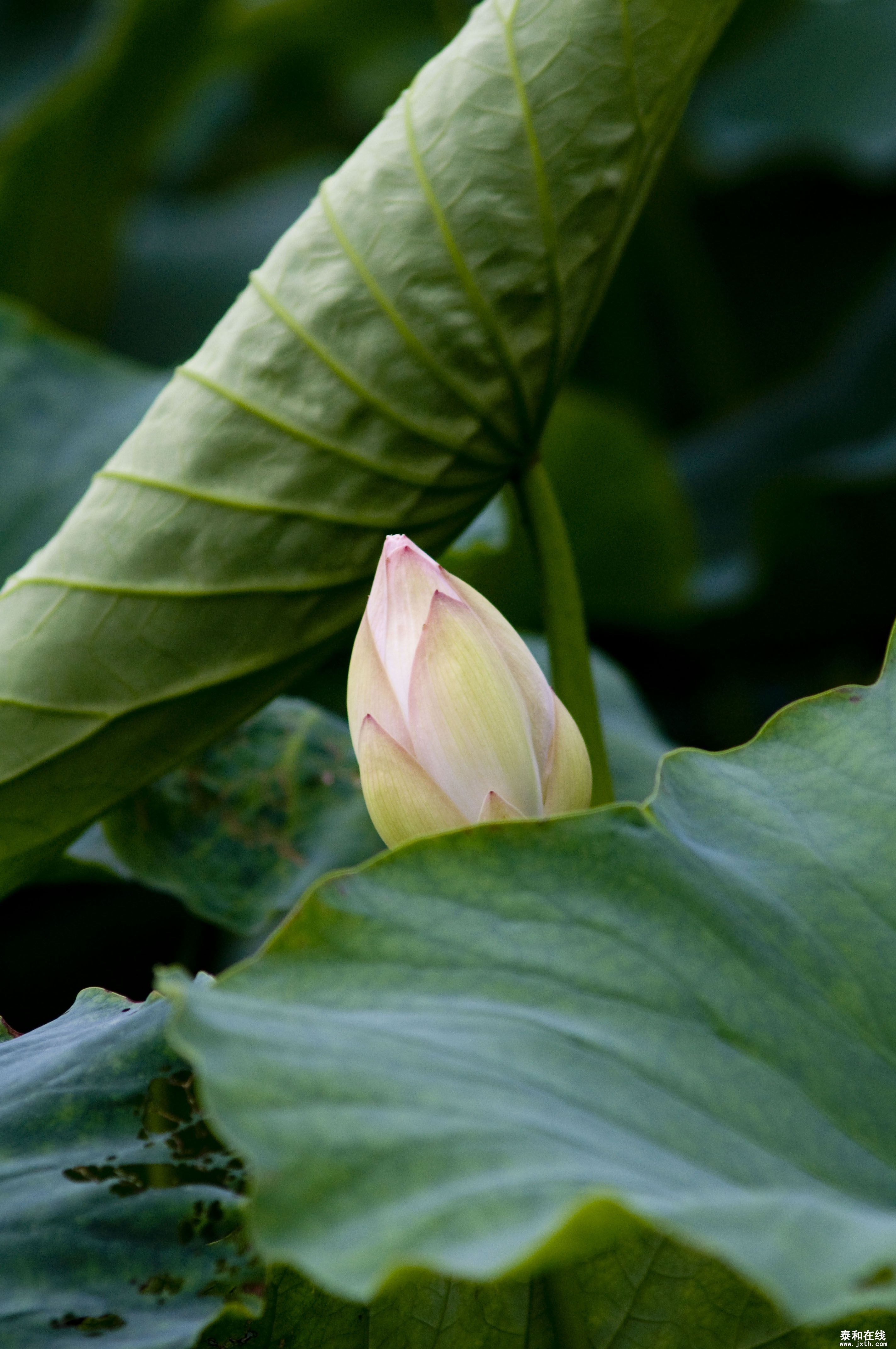 DSC_01882.JPG
