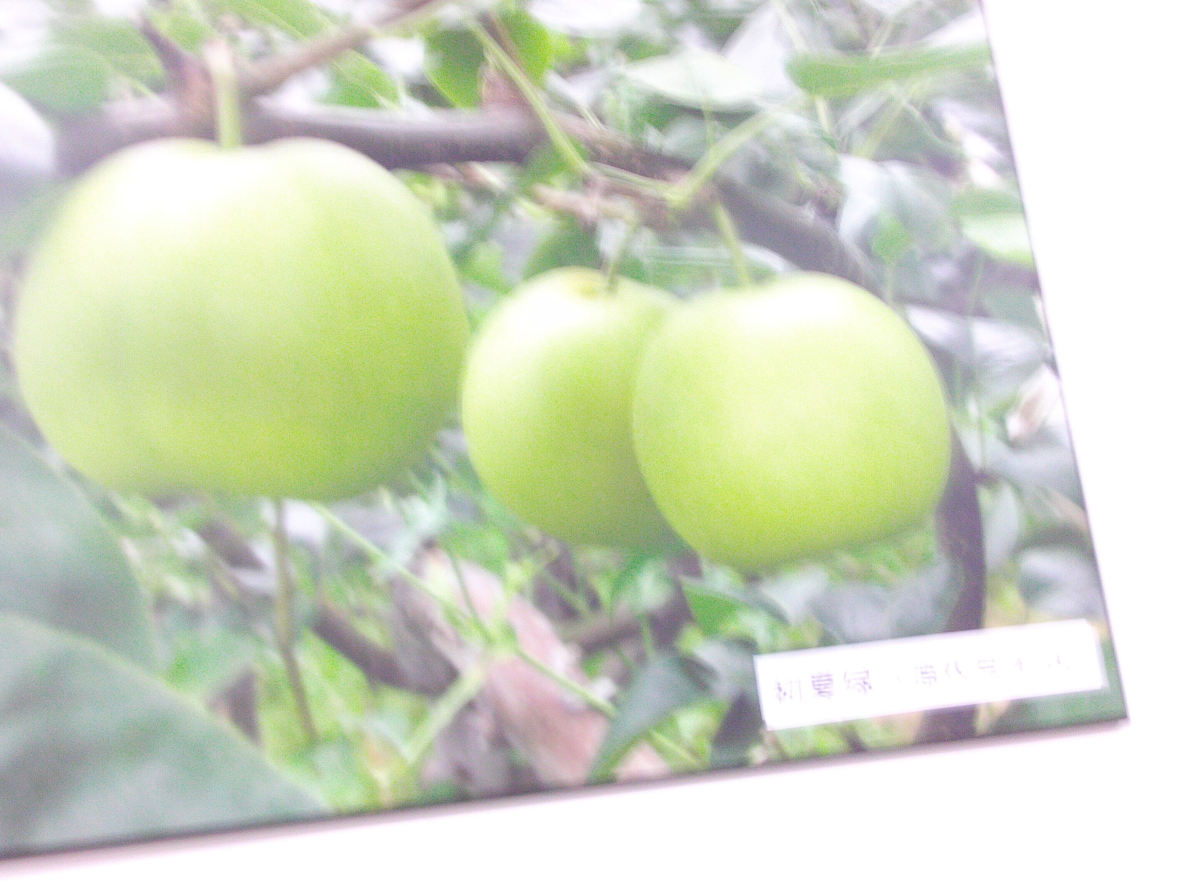 FILE0541.JPG