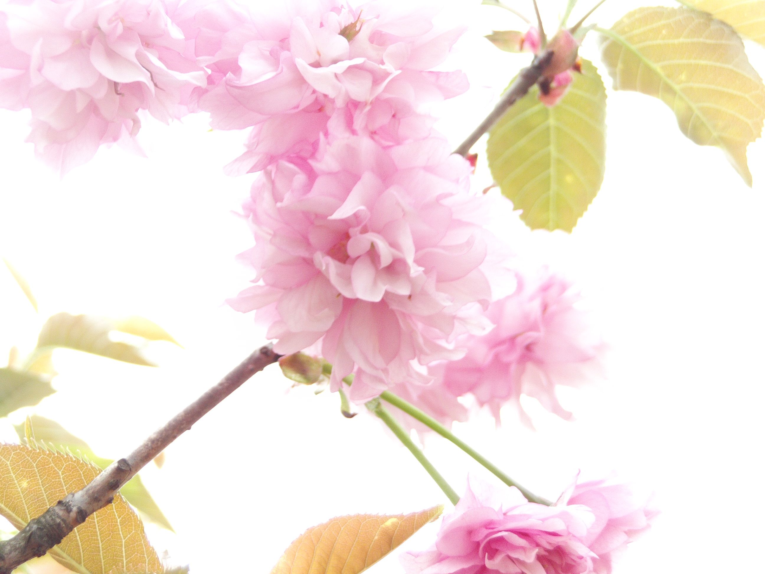 FILE0731.JPG