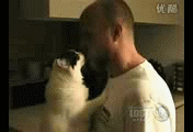 3.gif