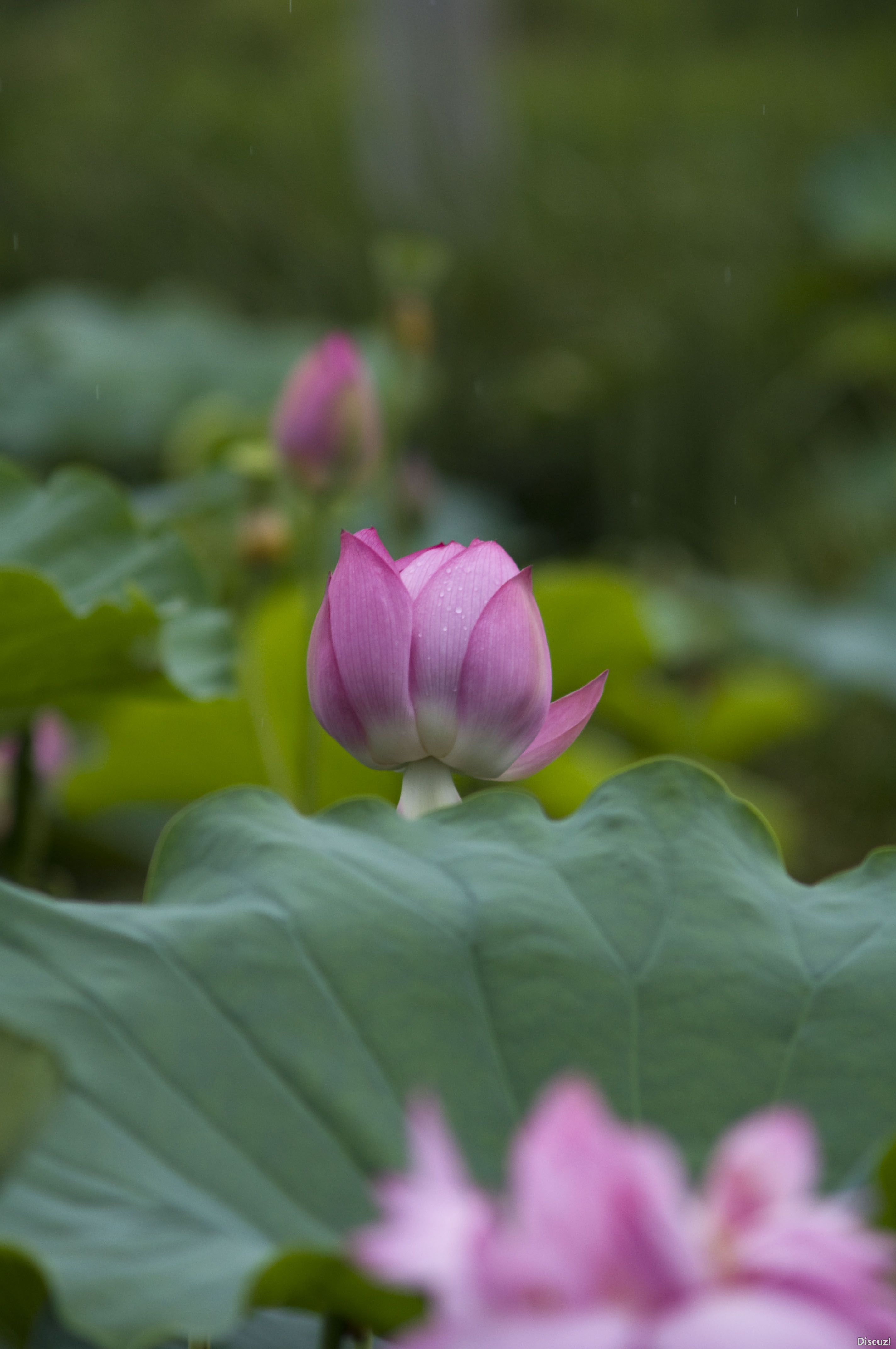 DSC_02512.JPG