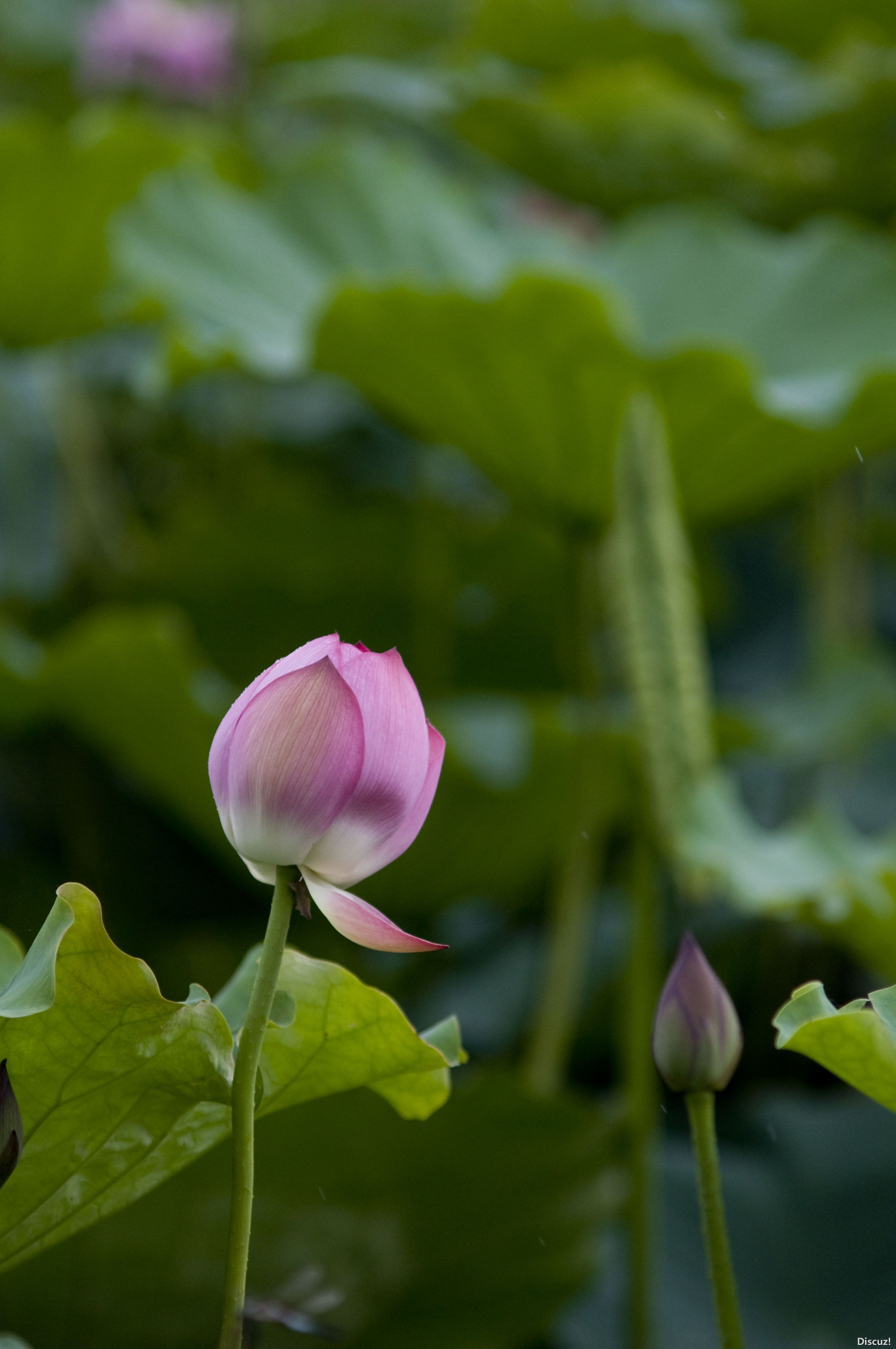DSC_02602.JPG