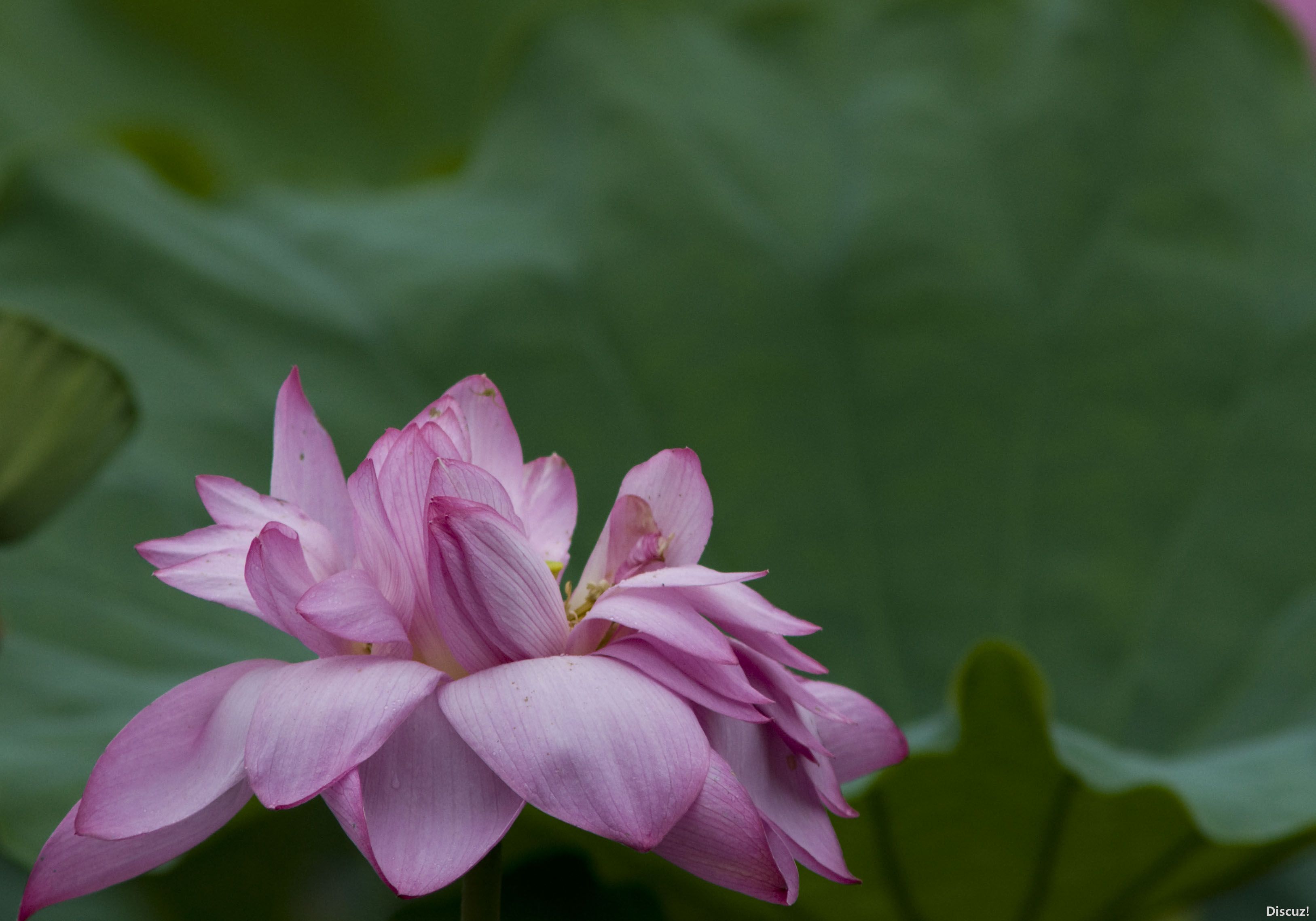 DSC_02782.JPG