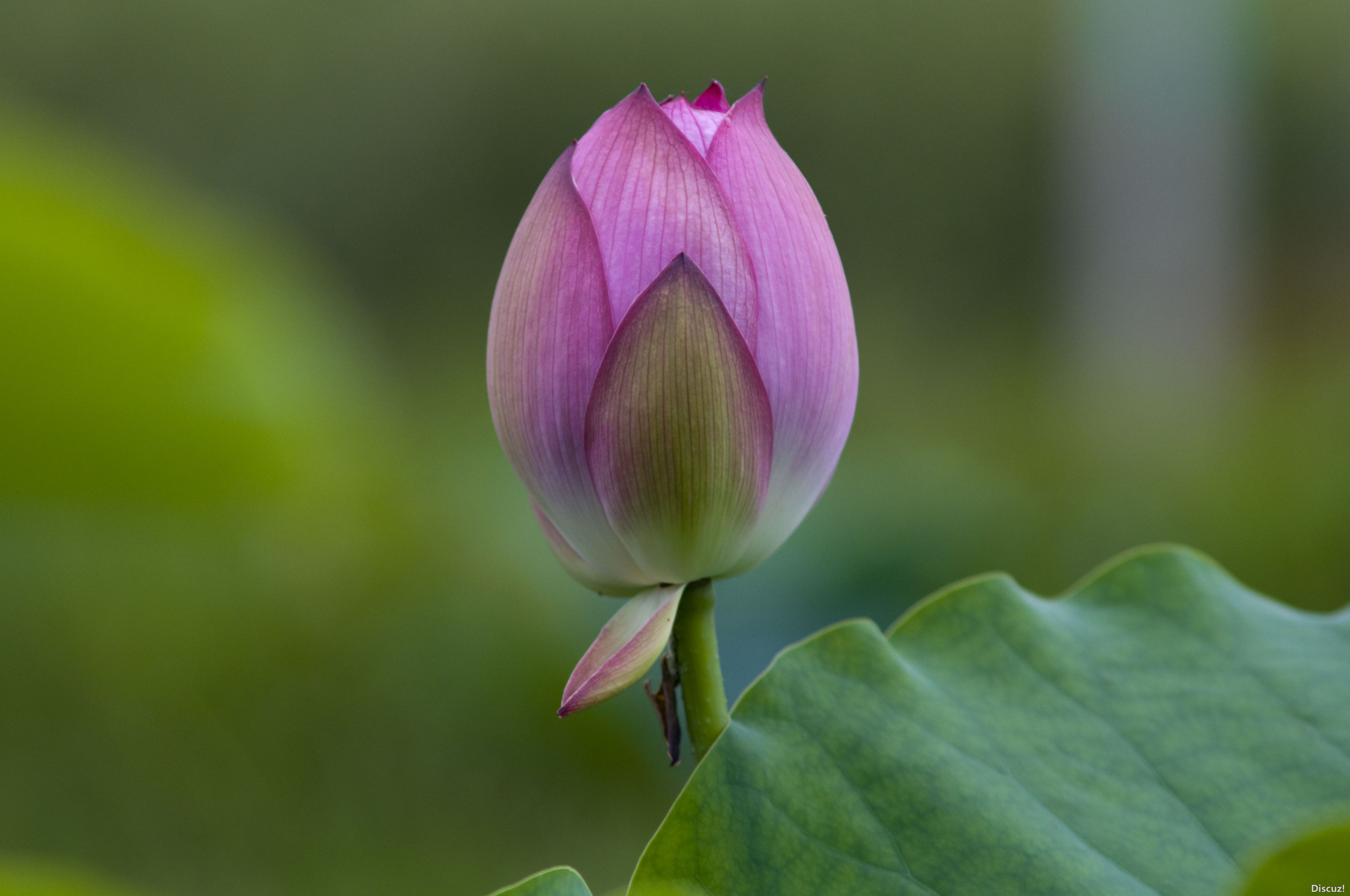 DSC_02812.JPG
