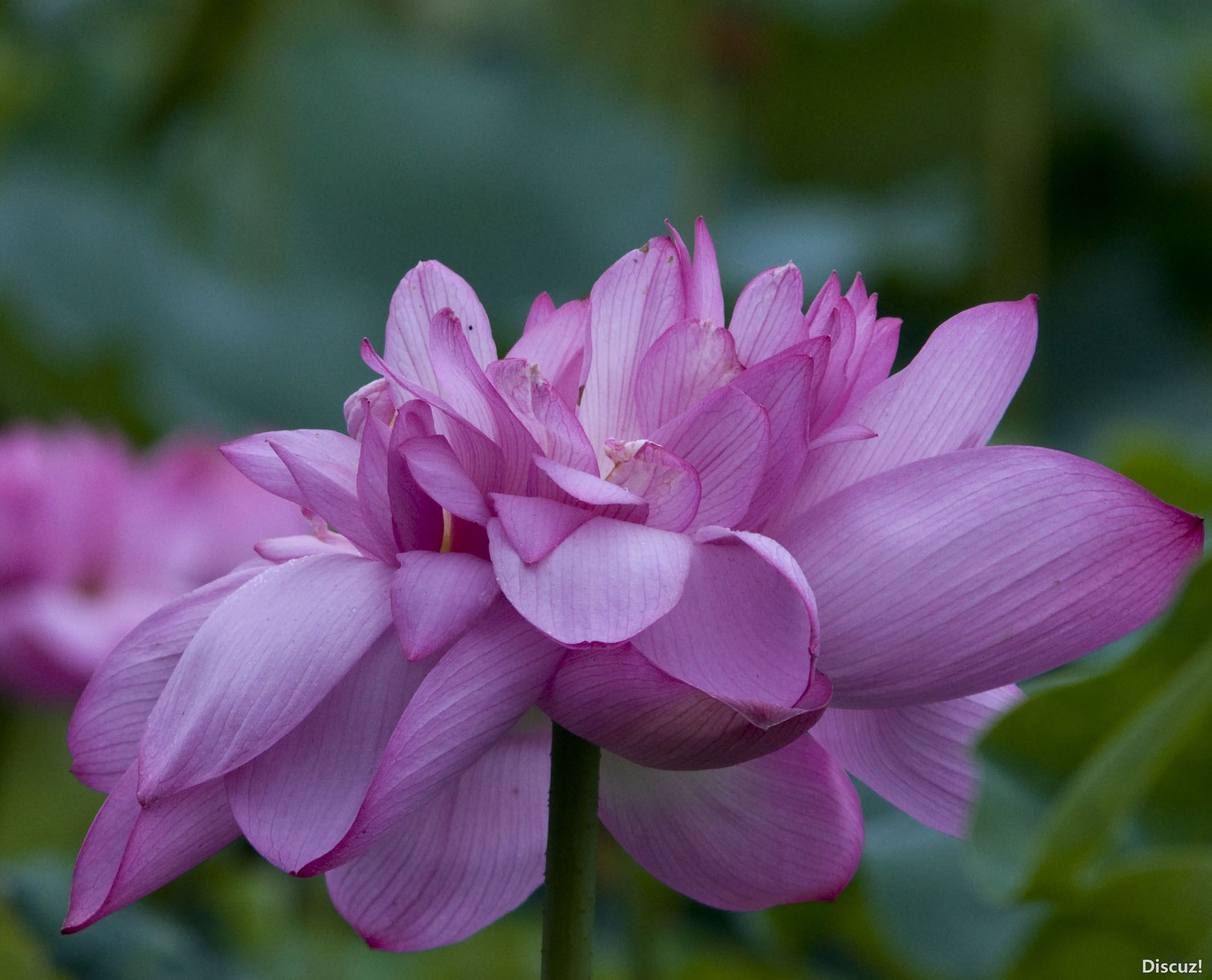 DSC_02862.JPG