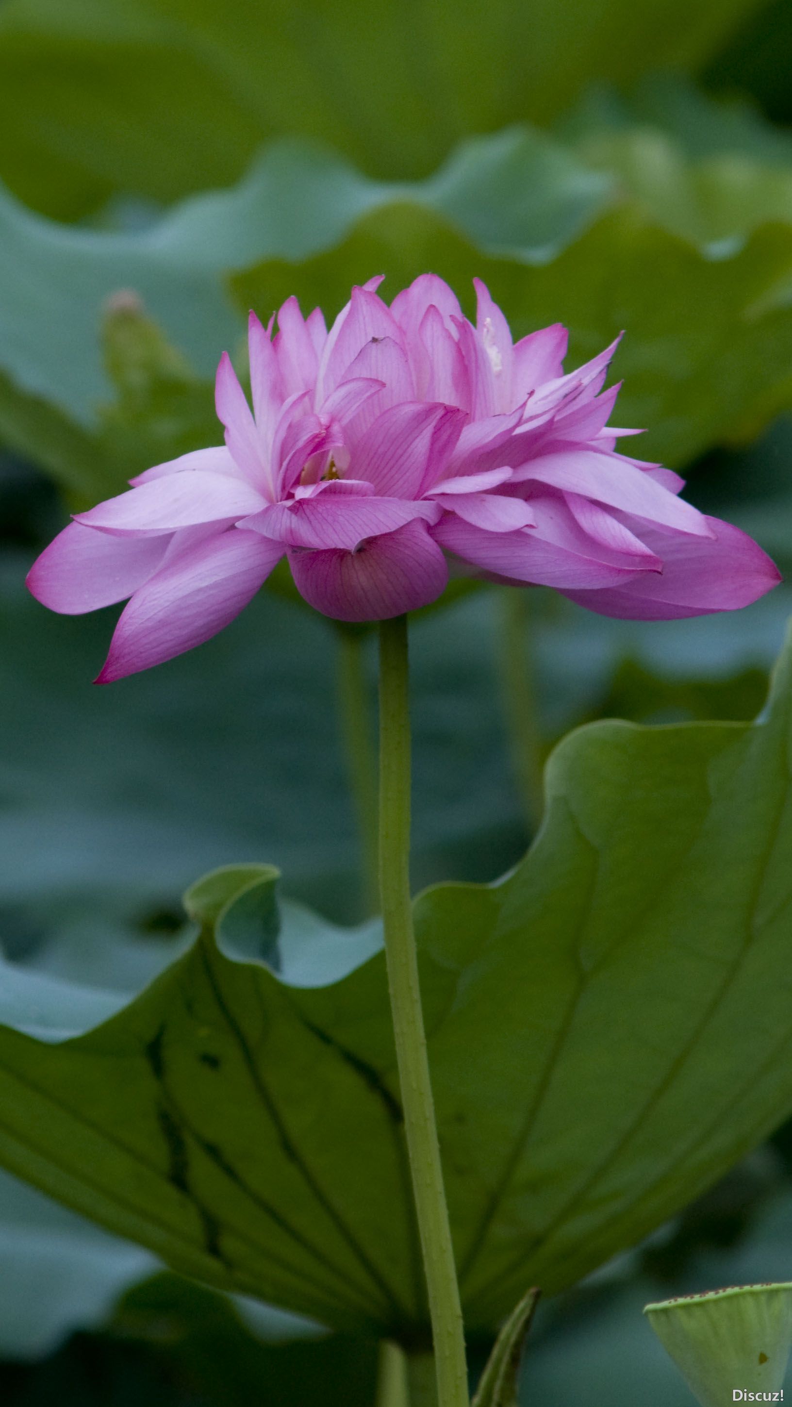 DSC_02992.JPG