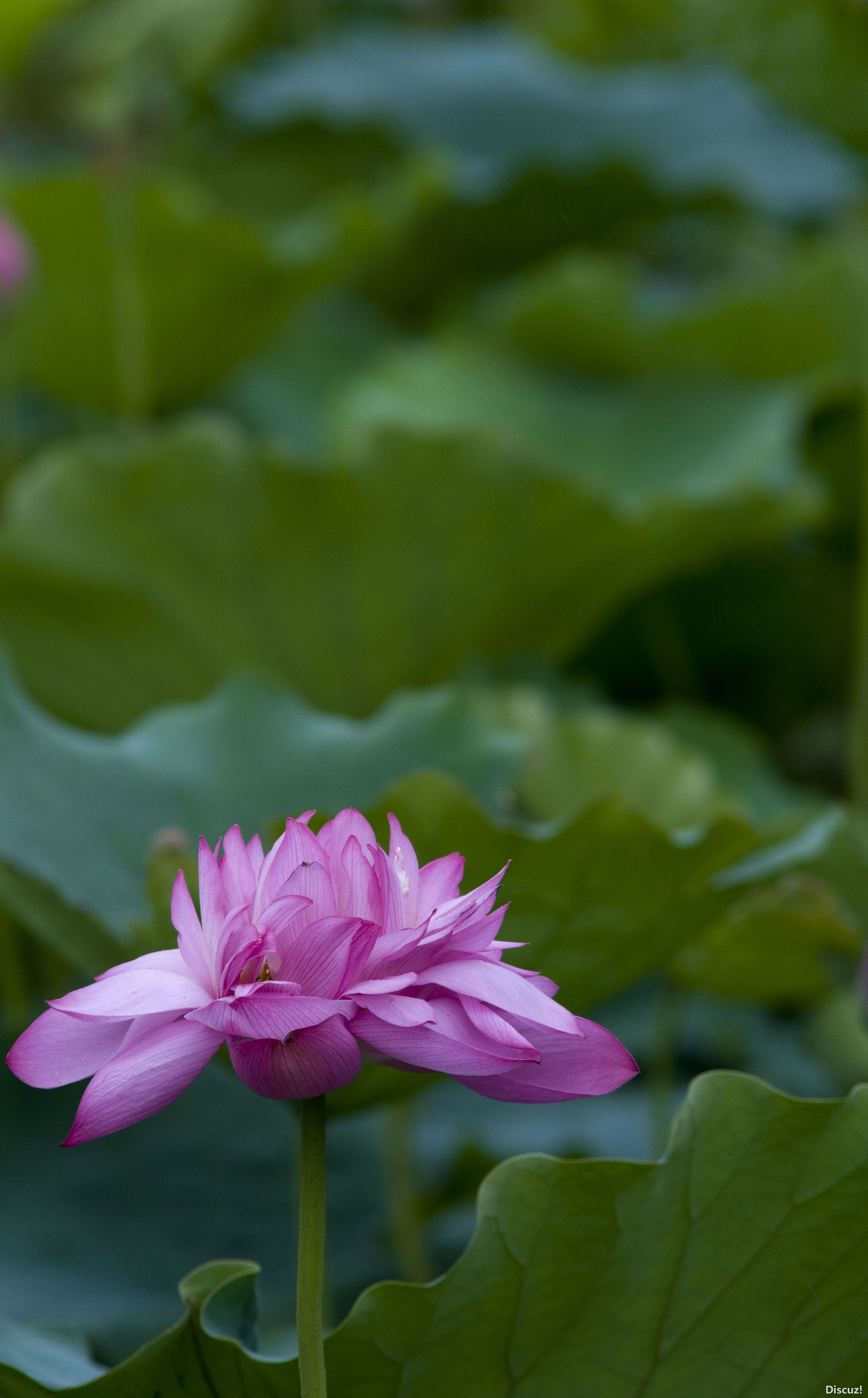 DSC_03002.JPG