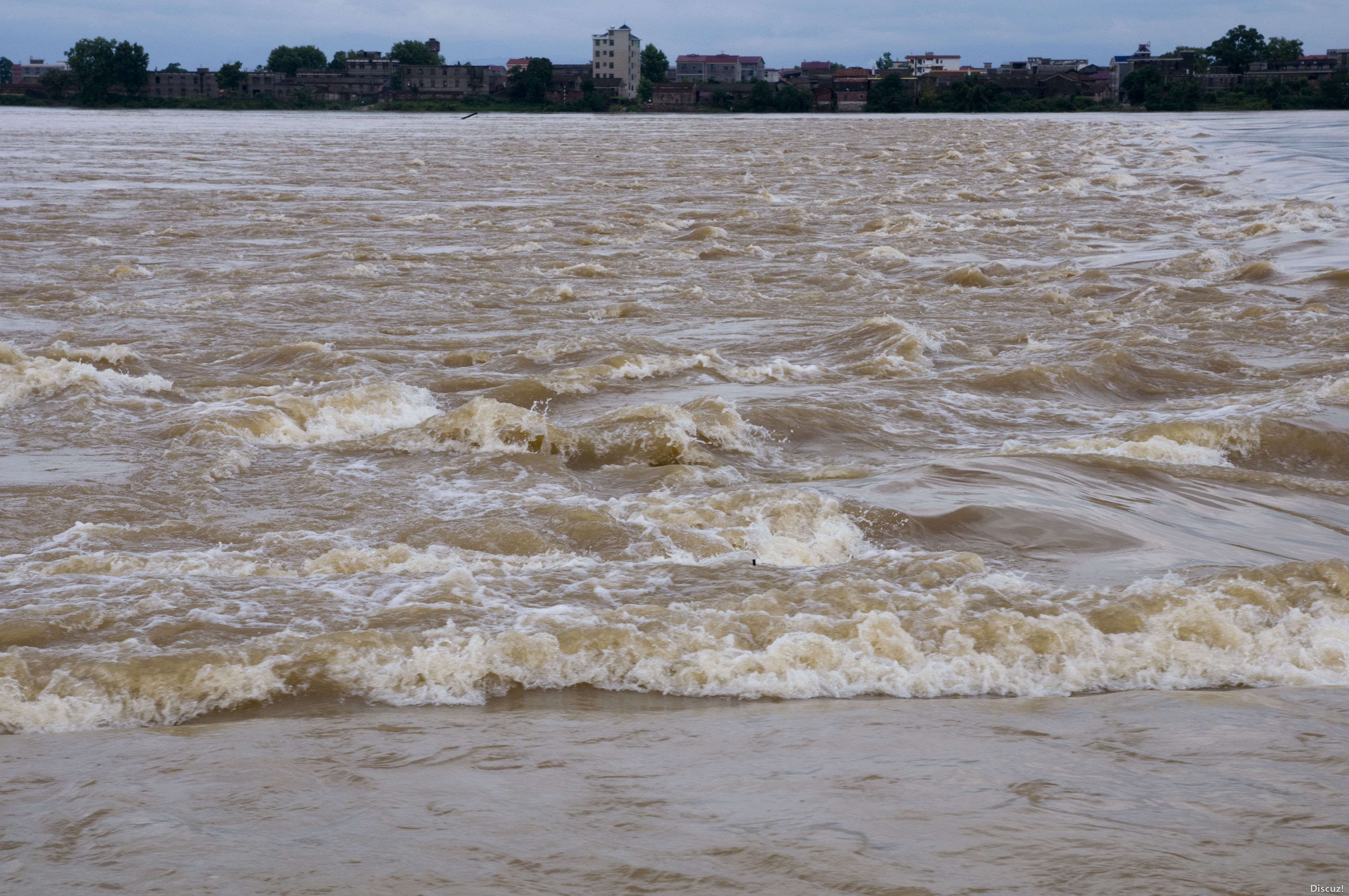 DSC_03512.JPG