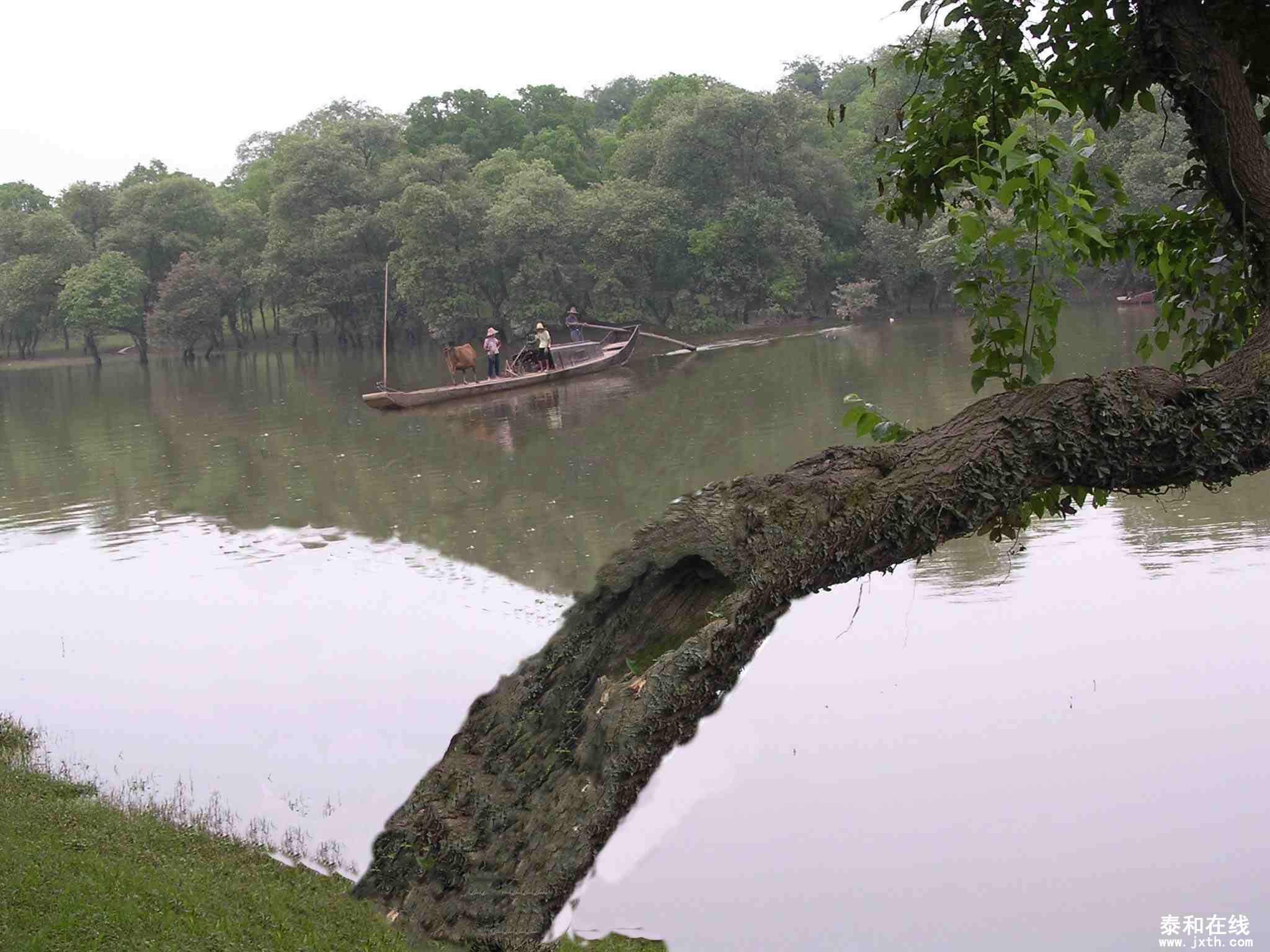 DSCN0184.JPG