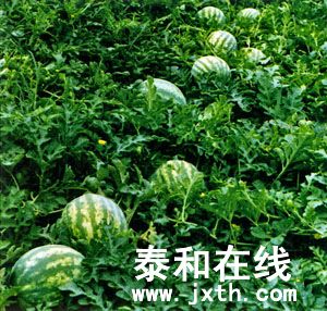 0db2c9ca141db453f31fe749.jpg