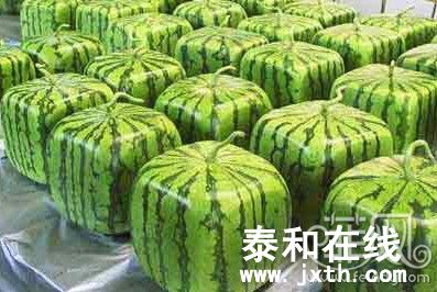 20100719161540416.jpg